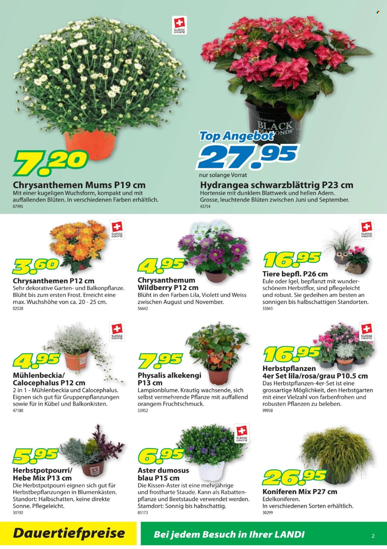 Catalogue Landi - 19.8.2024 - 1.9.2024. Page 2