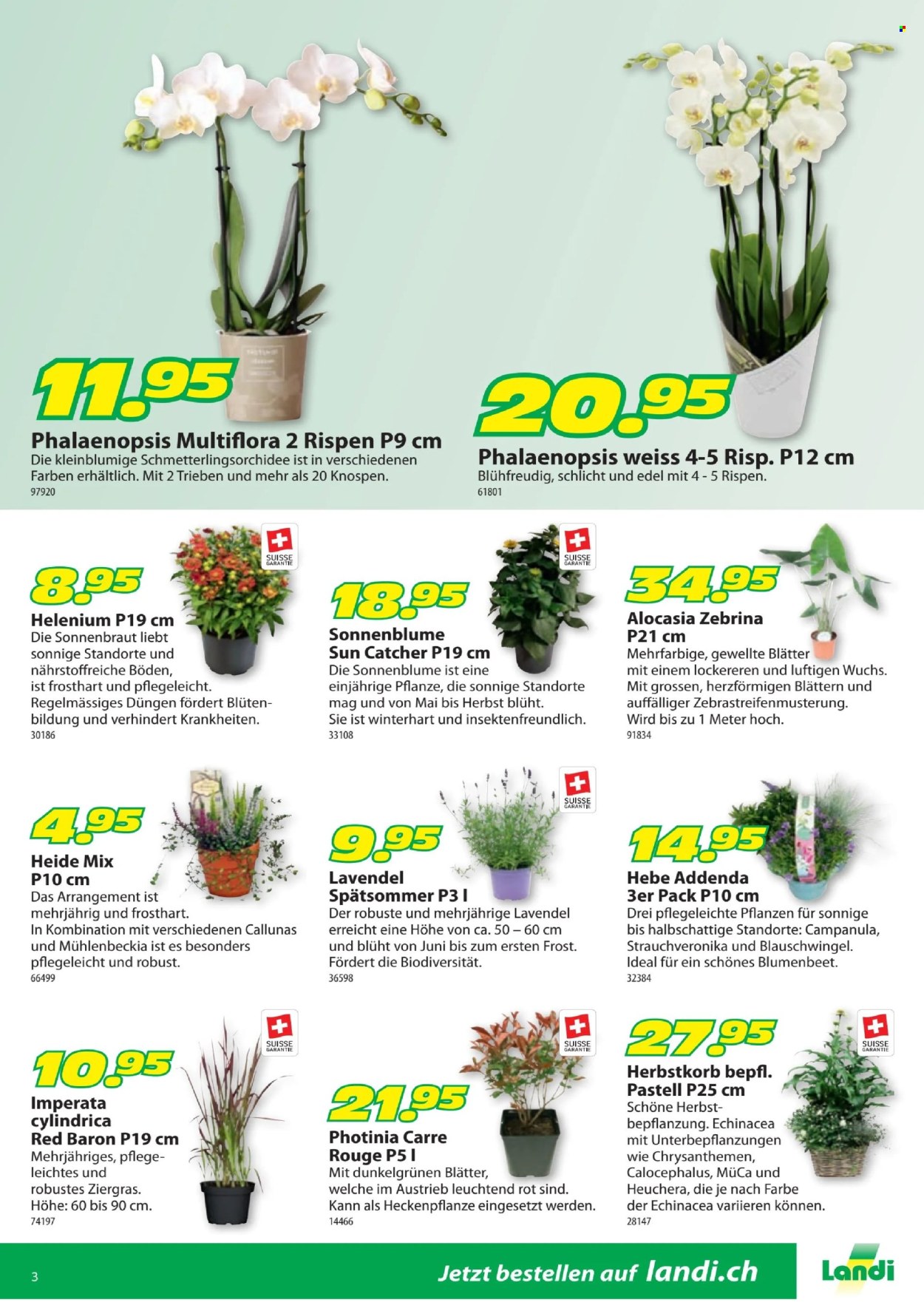 Catalogue Landi - 19.8.2024 - 1.9.2024. Page 3
