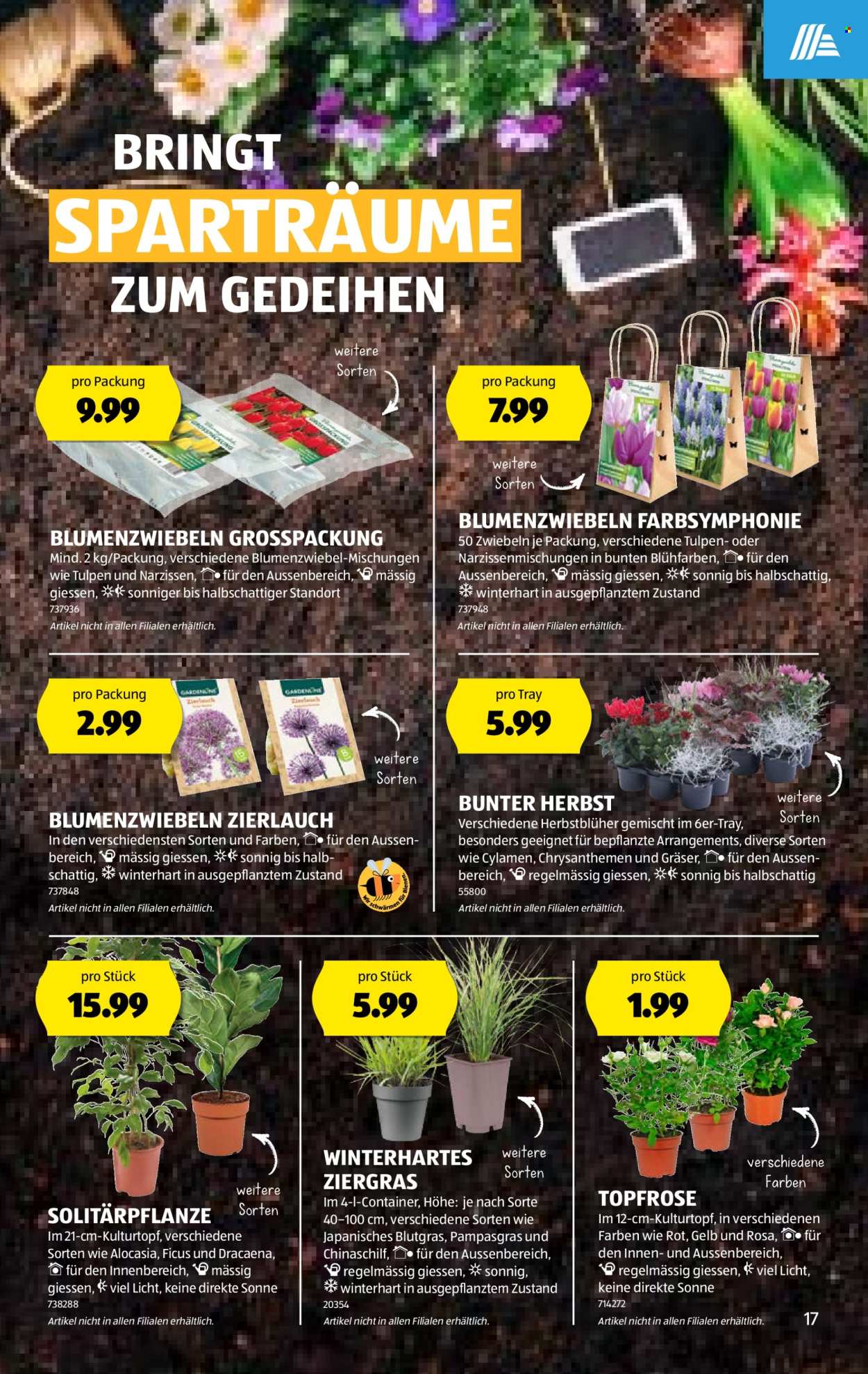 Catalogue Aldi - 29.8.2024 - 4.9.2024. Page 17