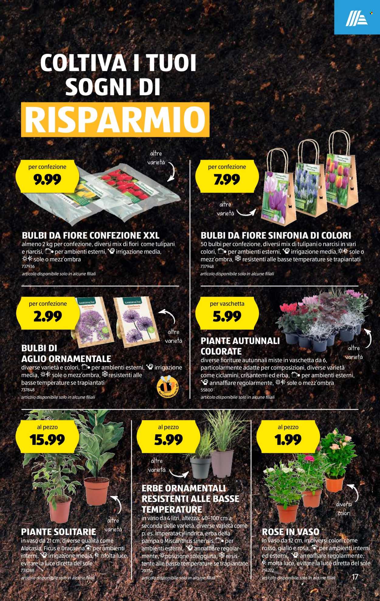 Catalogue Aldi - 29.8.2024 - 4.9.2024. Page 17