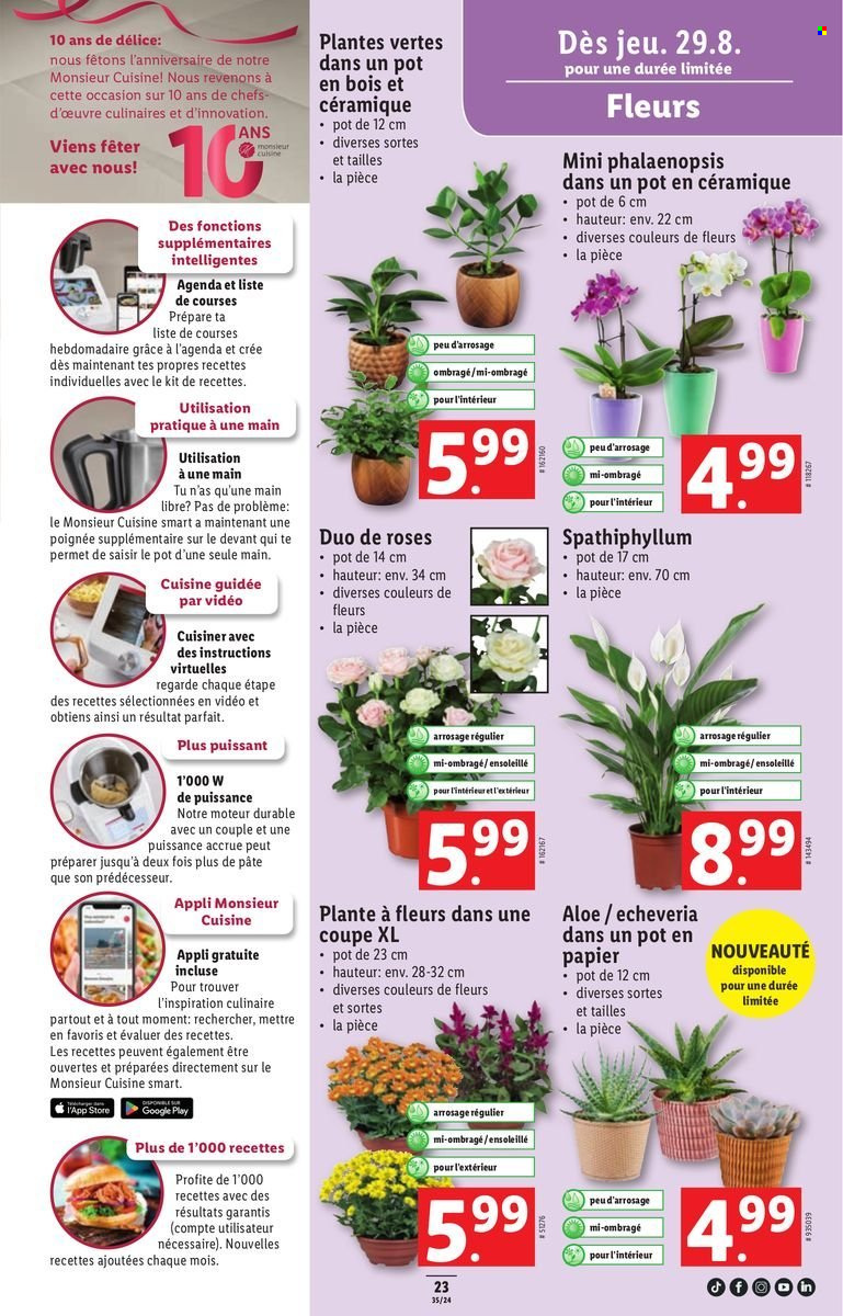 Volantino Lidl - 29.8.2024 - 4.9.2024. Pagina 25