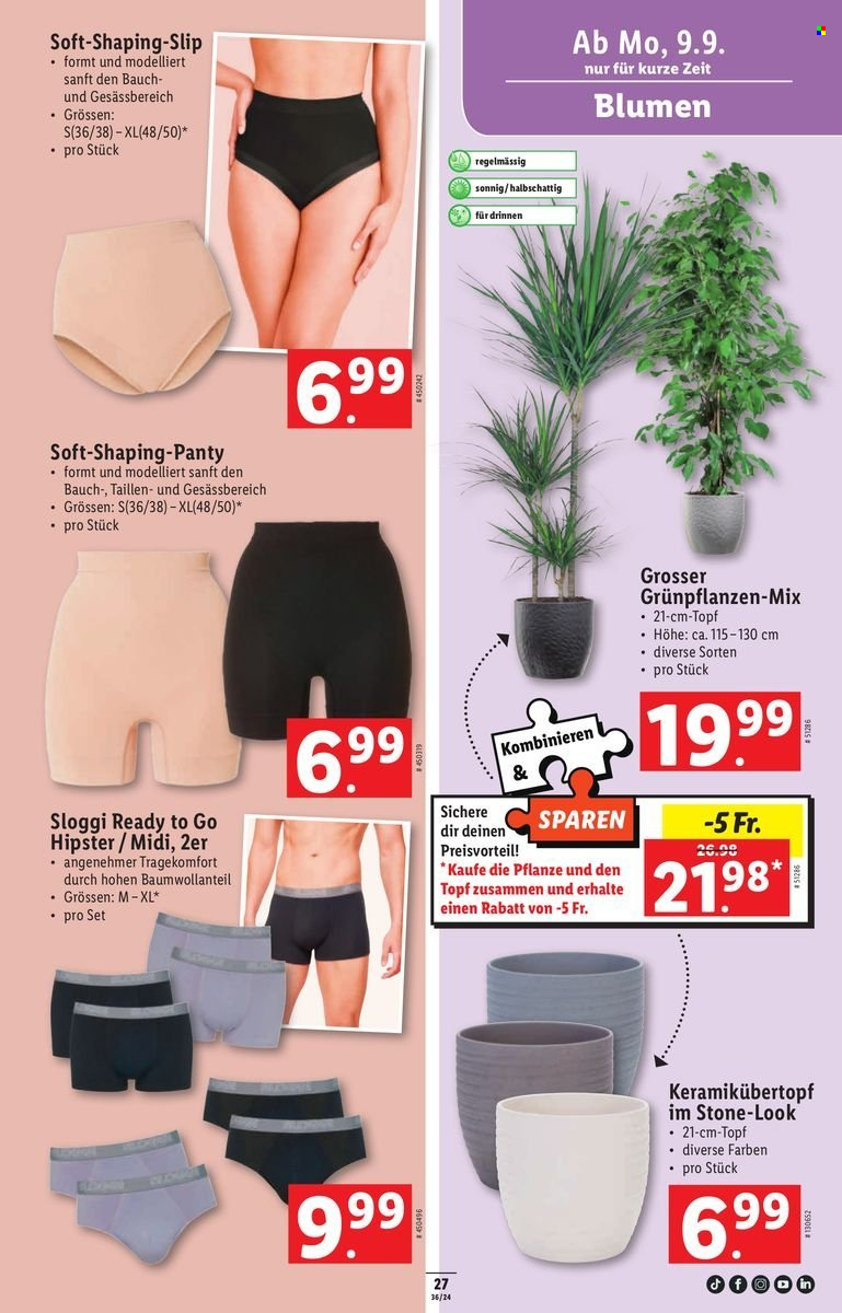 Volantino Lidl - 5.9.2024 - 11.9.2024. Pagina 29
