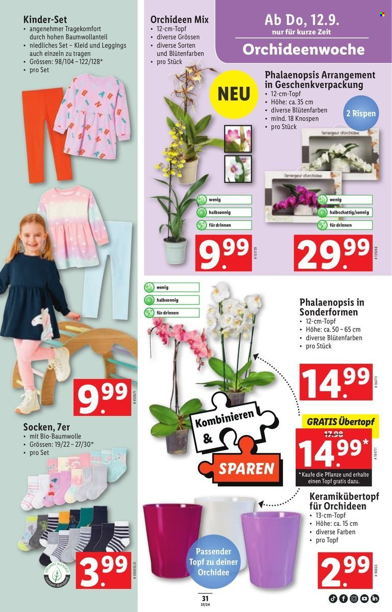 Volantino Lidl - 12.9.2024 - 18.9.2024. Pagina 35