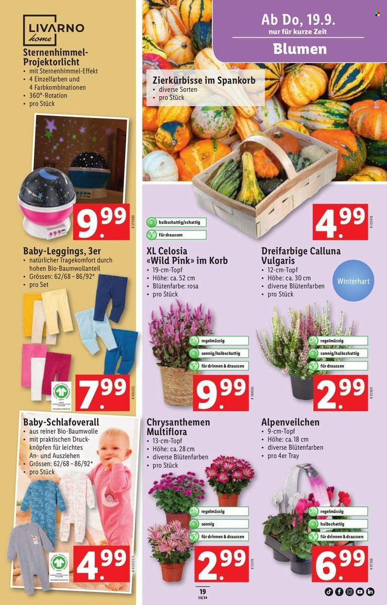 Volantino Lidl - 19.9.2024 - 25.9.2024. Pagina 19
