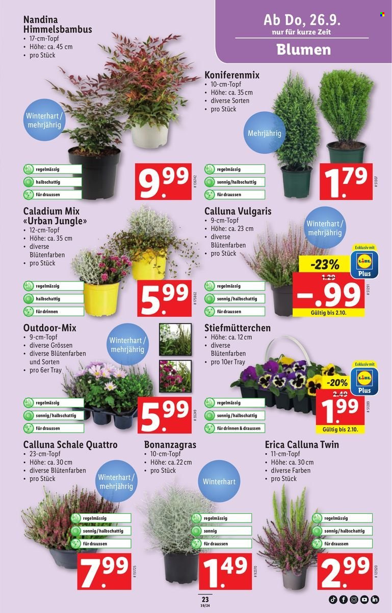 Catalogue Lidl - 26.9.2024 - 2.10.2024. Page 23