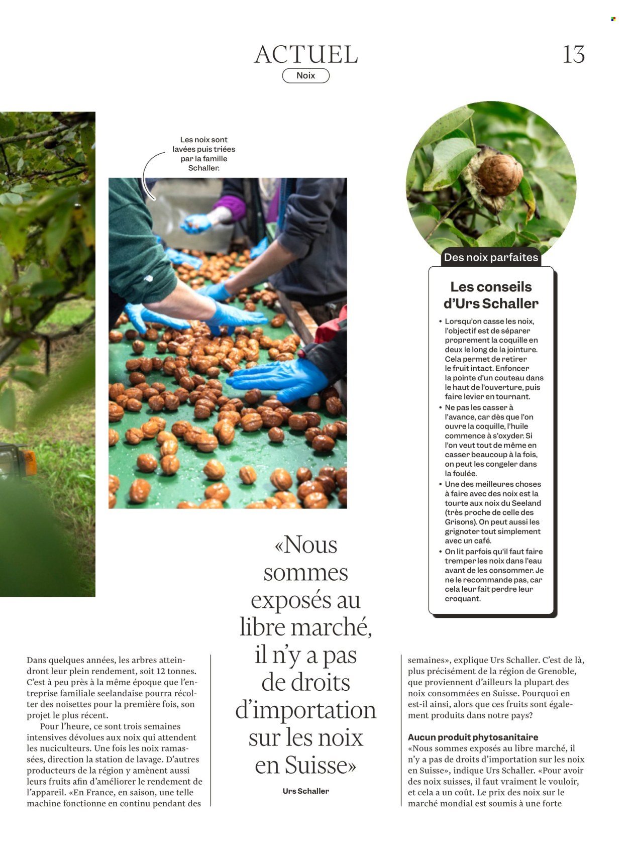 Volantino Migros - 21.10.2024 - 27.10.2024. Pagina 13
