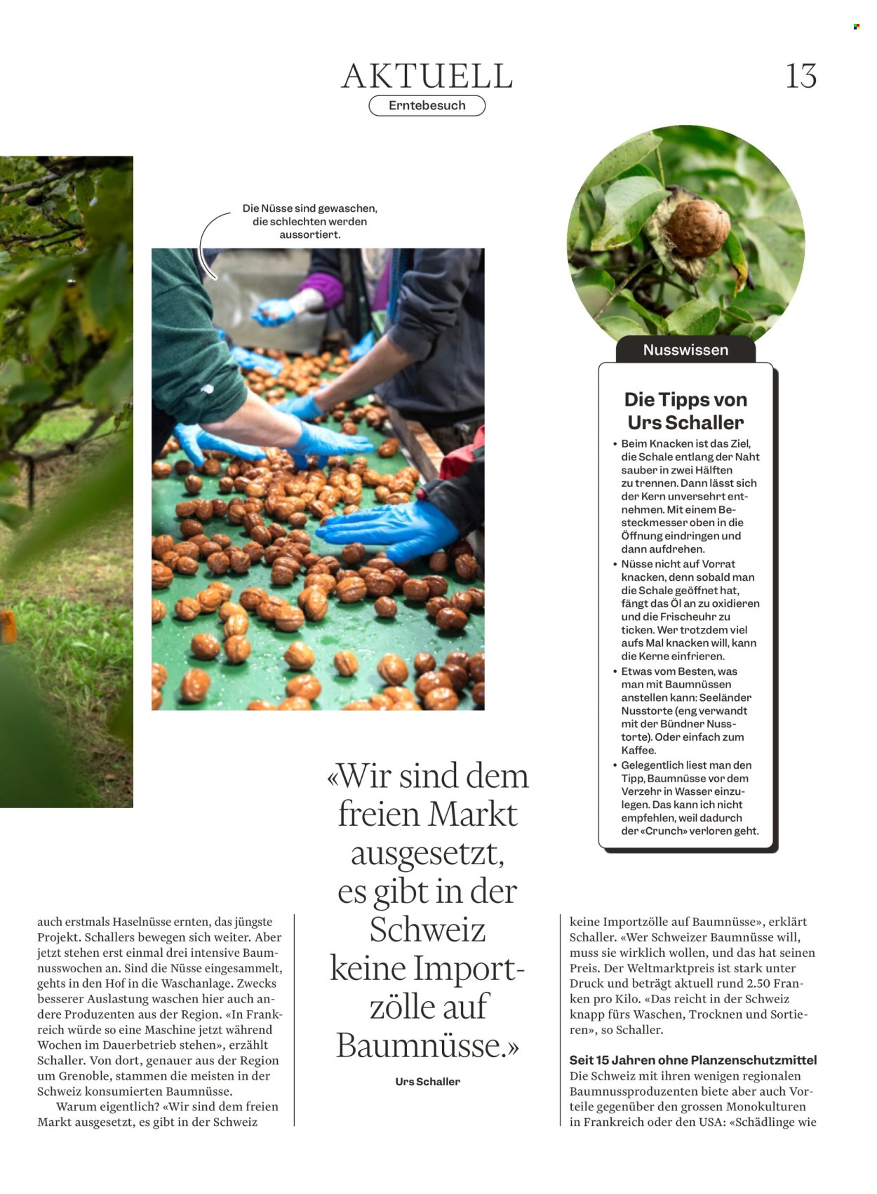 Volantino Migros - 21.10.2024 - 27.10.2024. Pagina 13