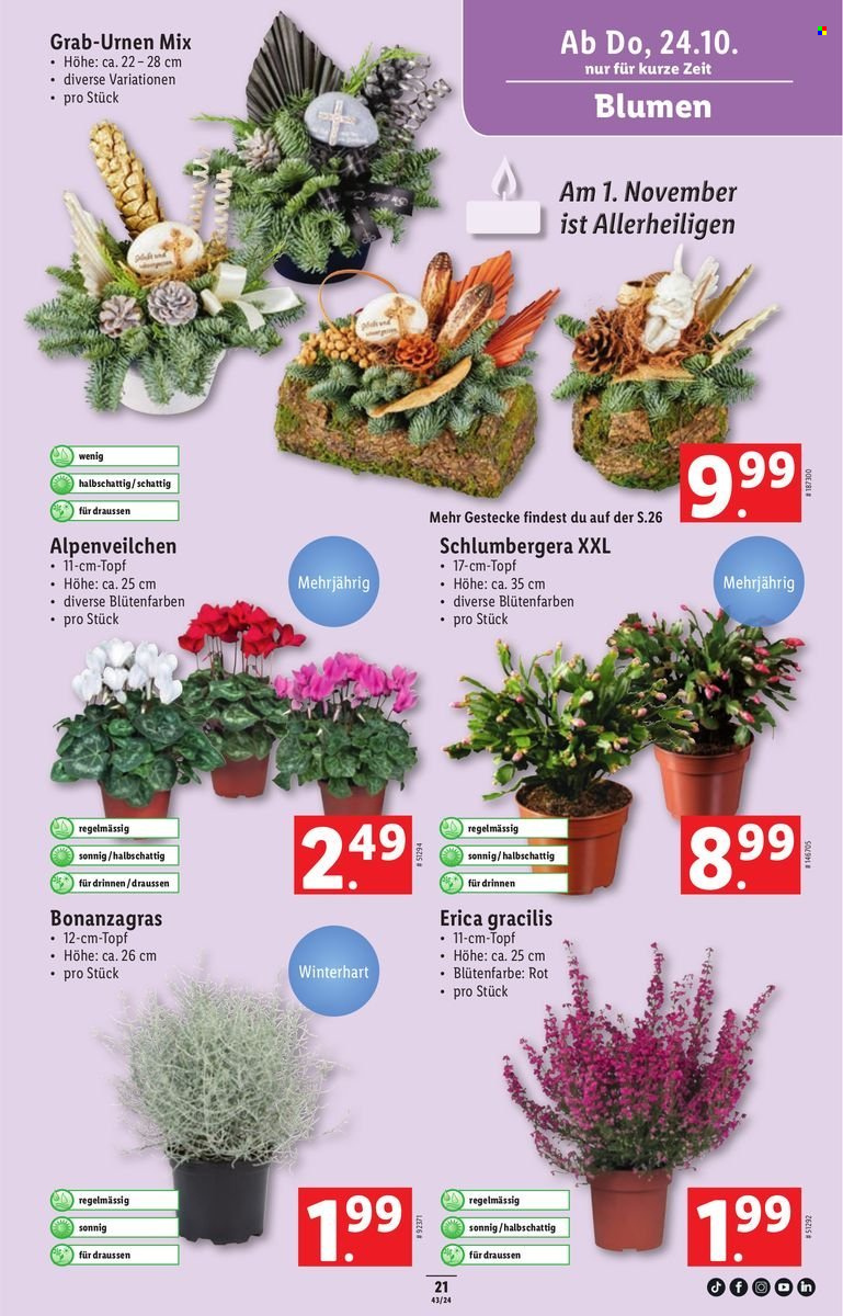 Volantino Lidl - 24.10.2024 - 30.10.2024. Pagina 23