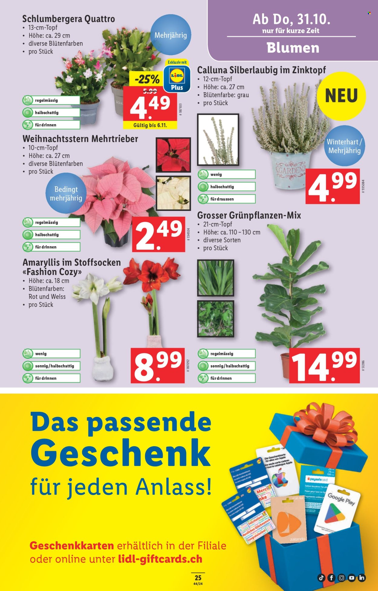 Volantino Lidl - 31.10.2024 - 6.11.2024. Pagina 25