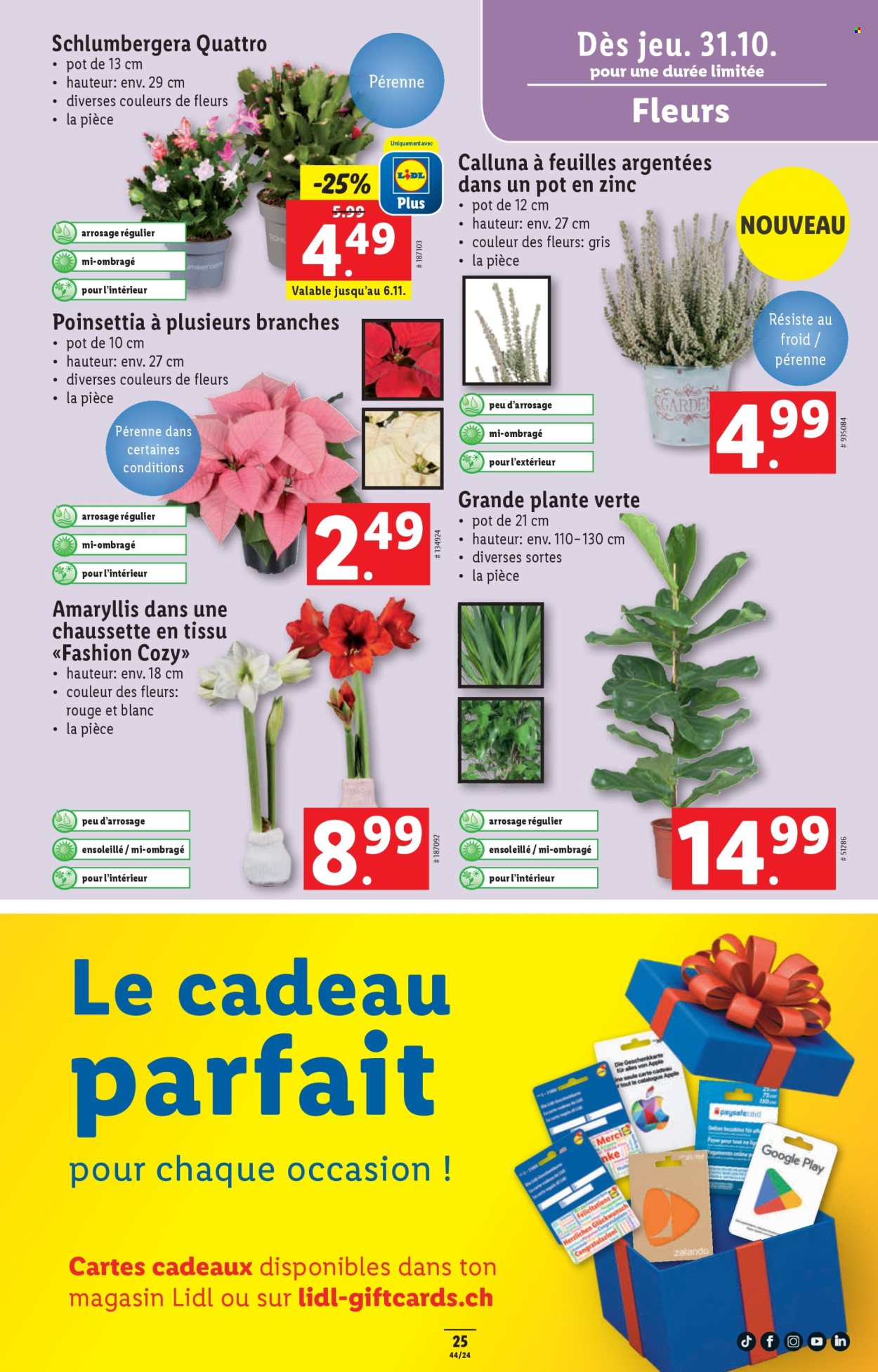Volantino Lidl - 31.10.2024 - 6.11.2024. Pagina 25
