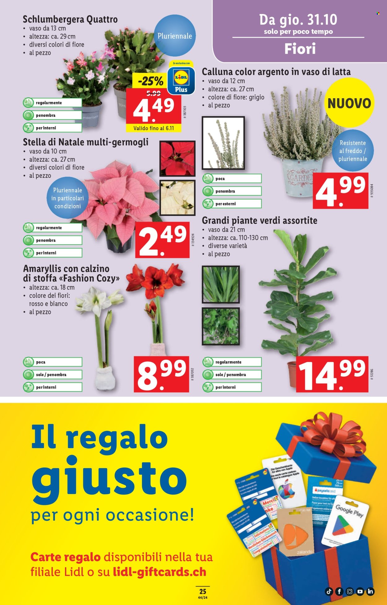 Volantino Lidl - 31.10.2024 - 6.11.2024. Pagina 25