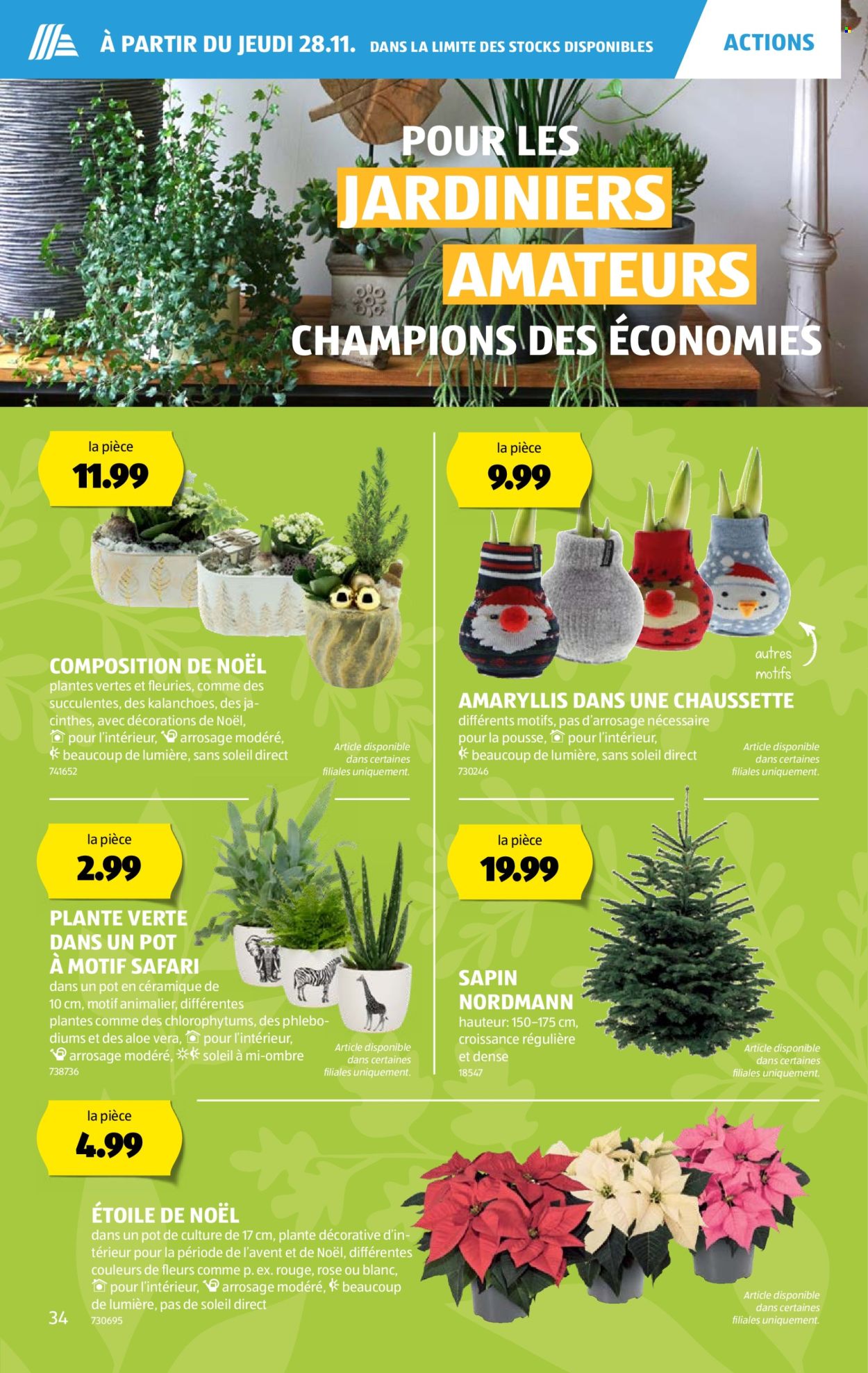 Prospekt Aldi - 28.11.2024 - 4.12.2024. Seite 34