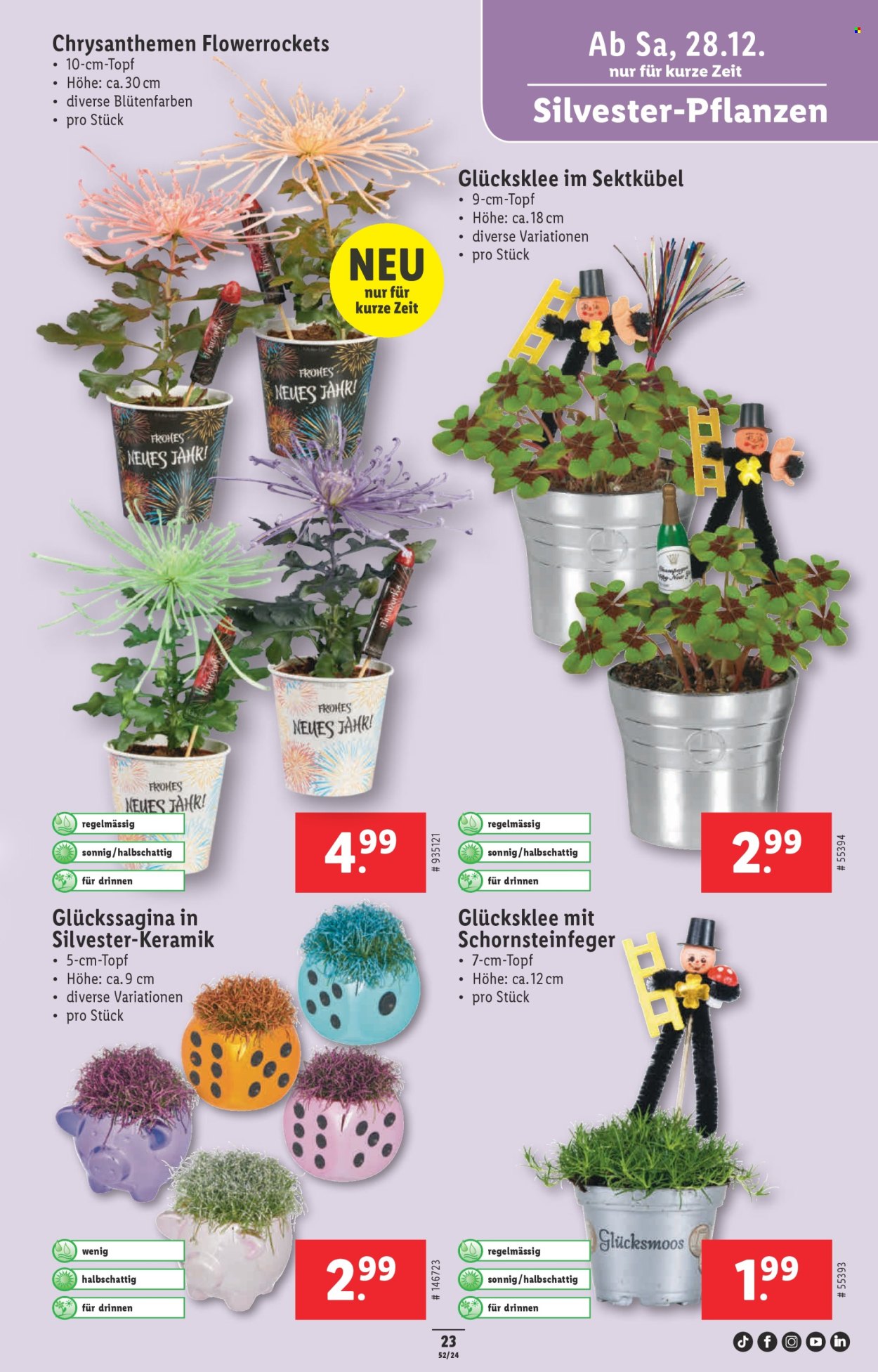 Volantino Lidl - 27.12.2024 - 31.12.2024. Pagina 25