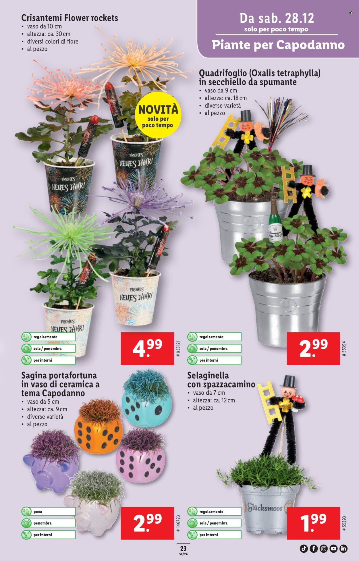 Volantino Lidl - 27.12.2024 - 31.12.2024. Pagina 25