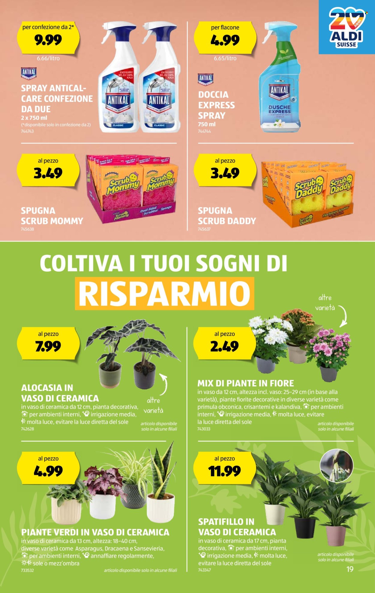 Volantino Aldi - 9.1.2025 - 15.1.2025. Pagina 19