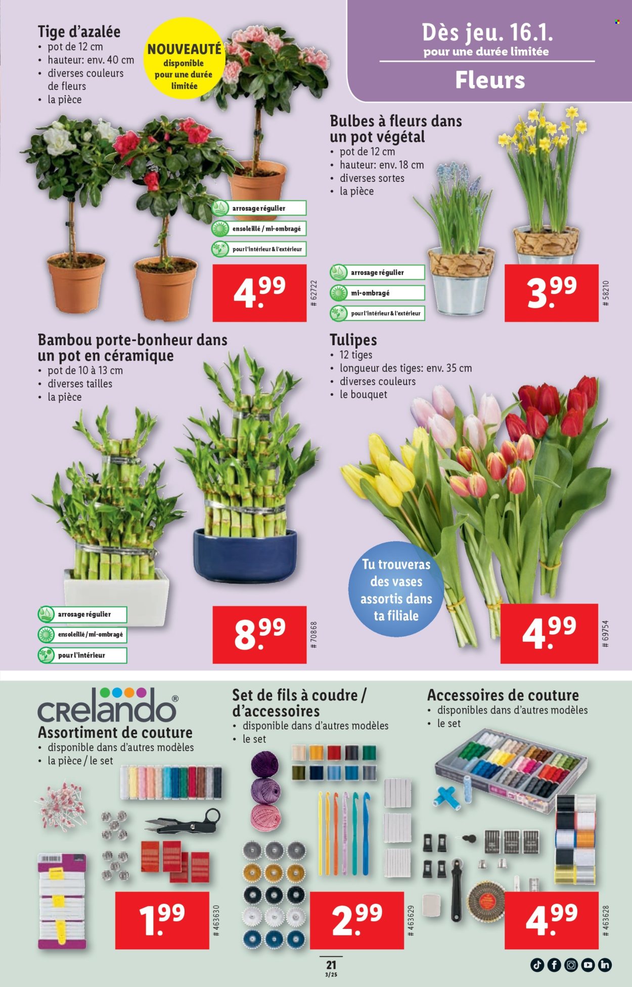 Catalogue Lidl - 16.1.2025 - 22.1.2025. Page 21