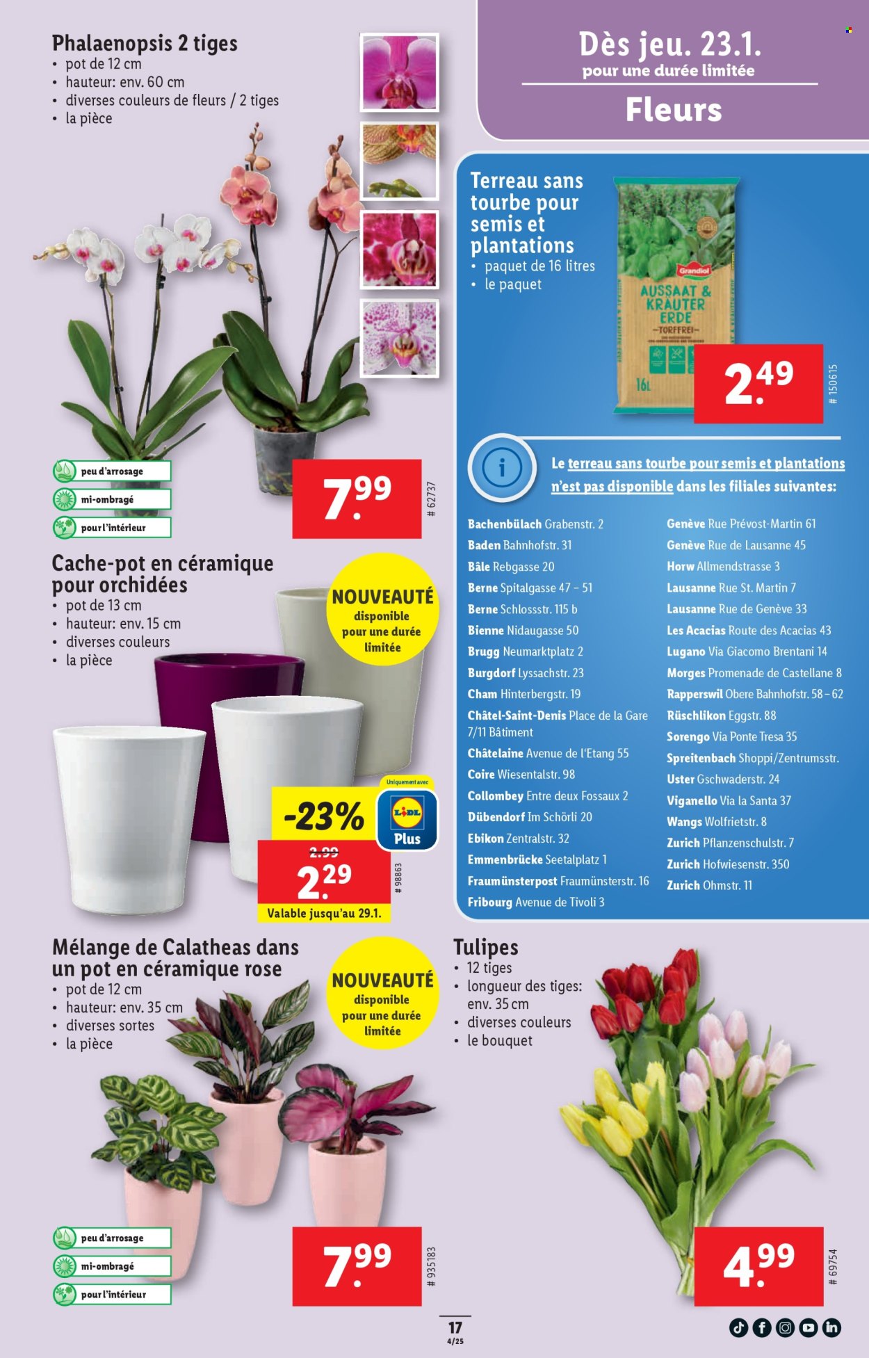 Catalogue Lidl - 23.1.2025 - 29.1.2025. Page 17
