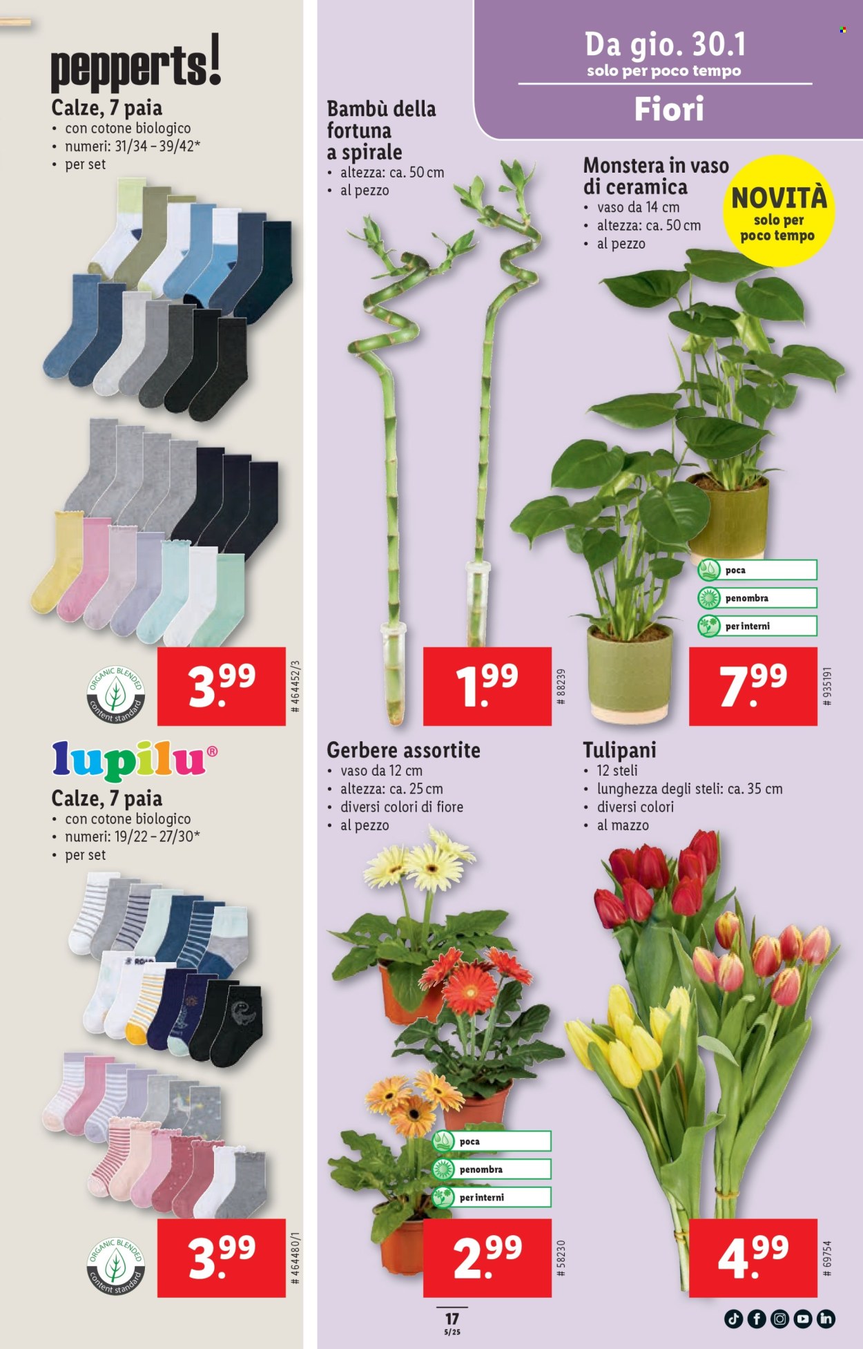 Catalogue Lidl - 30.1.2025 - 5.2.2025. Page 17
