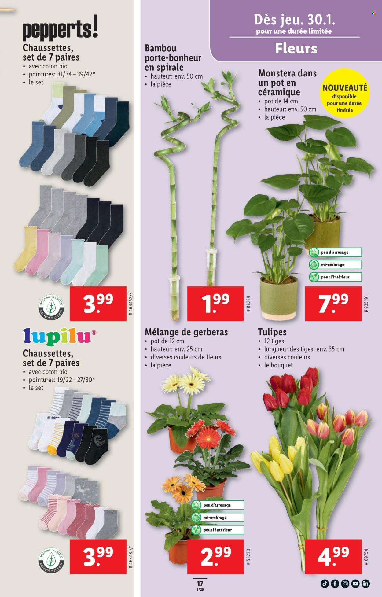 Catalogue Lidl - 30.1.2025 - 5.2.2025. Page 17