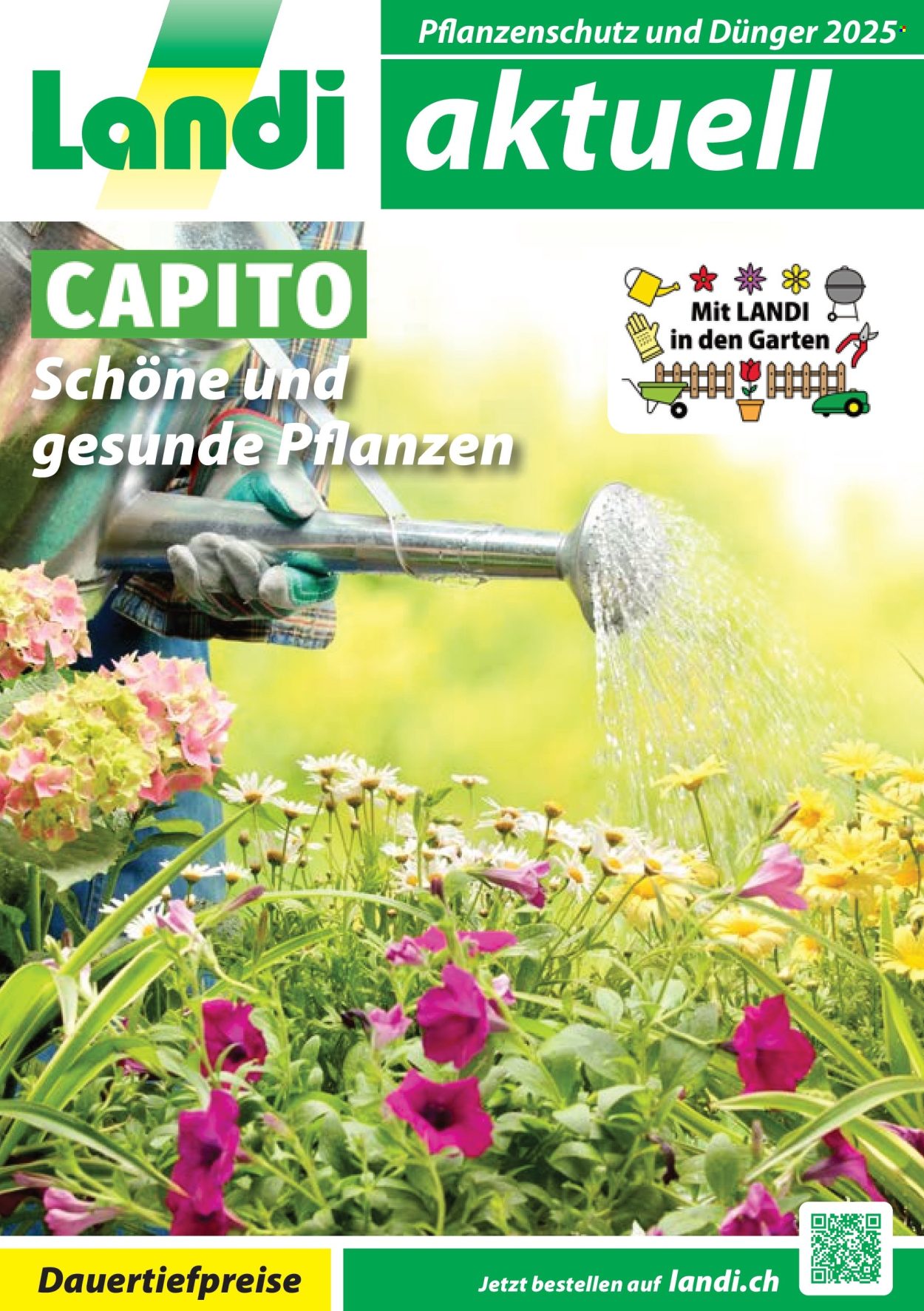 Volantino Landi - 5.2.2025 - 31.10.2025. Pagina 1