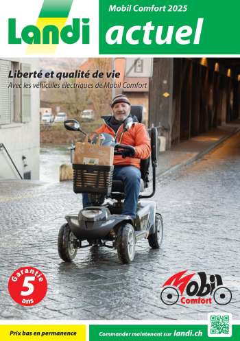 Volantino Landi - 13.2.2025 - 31.12.2025.