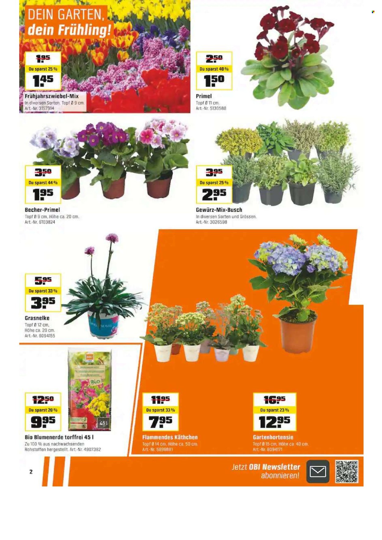 Catalogue OBI - 17.2.2025 - 1.3.2025. Page 2