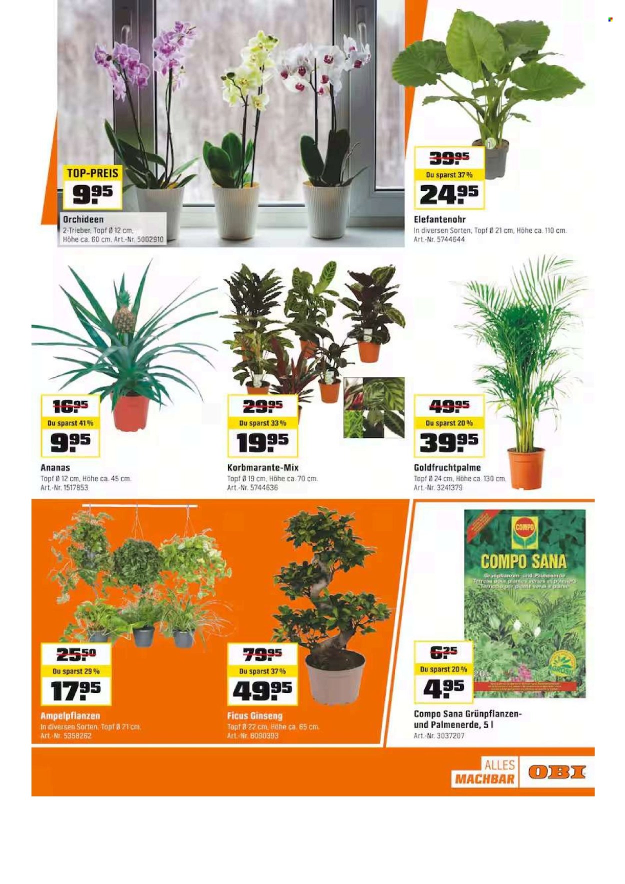 Catalogue OBI - 17.2.2025 - 1.3.2025. Page 3