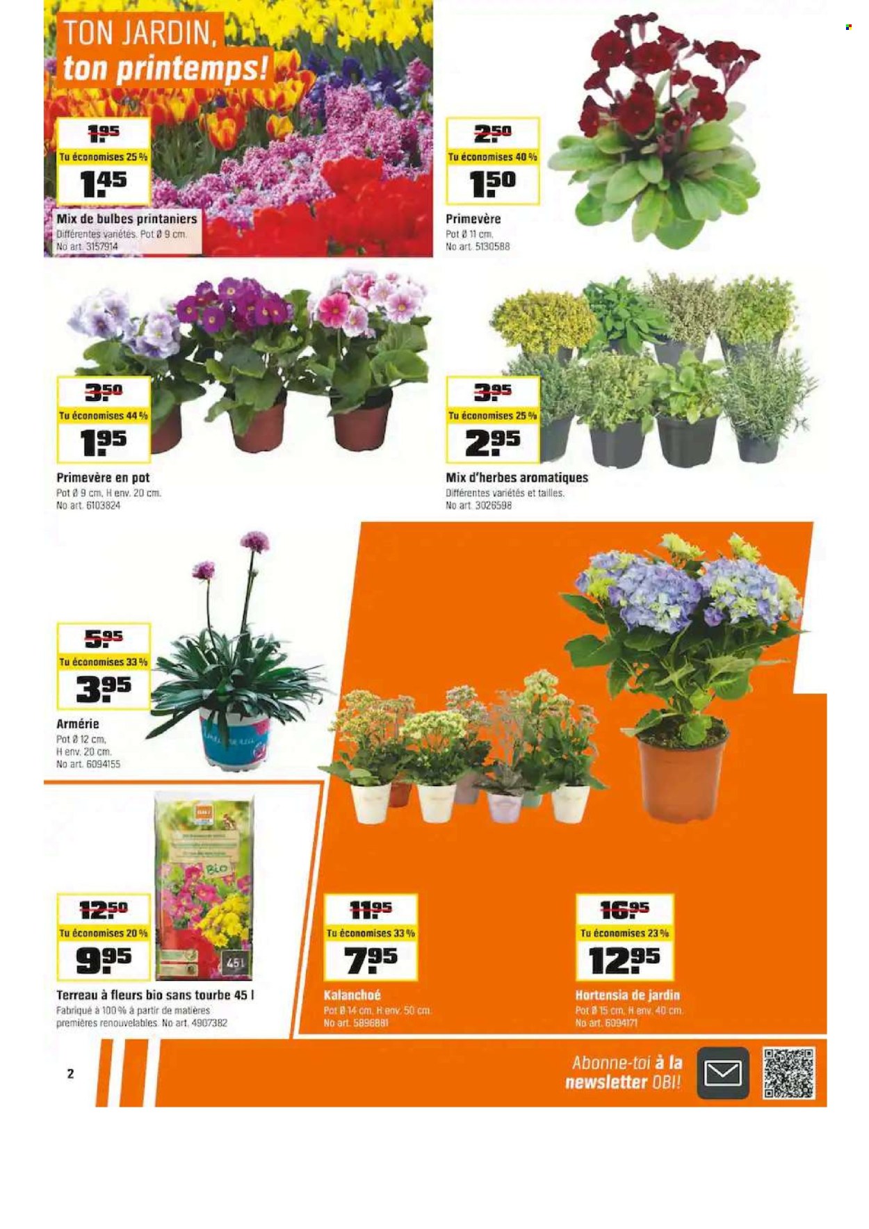 Catalogue OBI - 17.2.2025 - 1.3.2025. Page 2