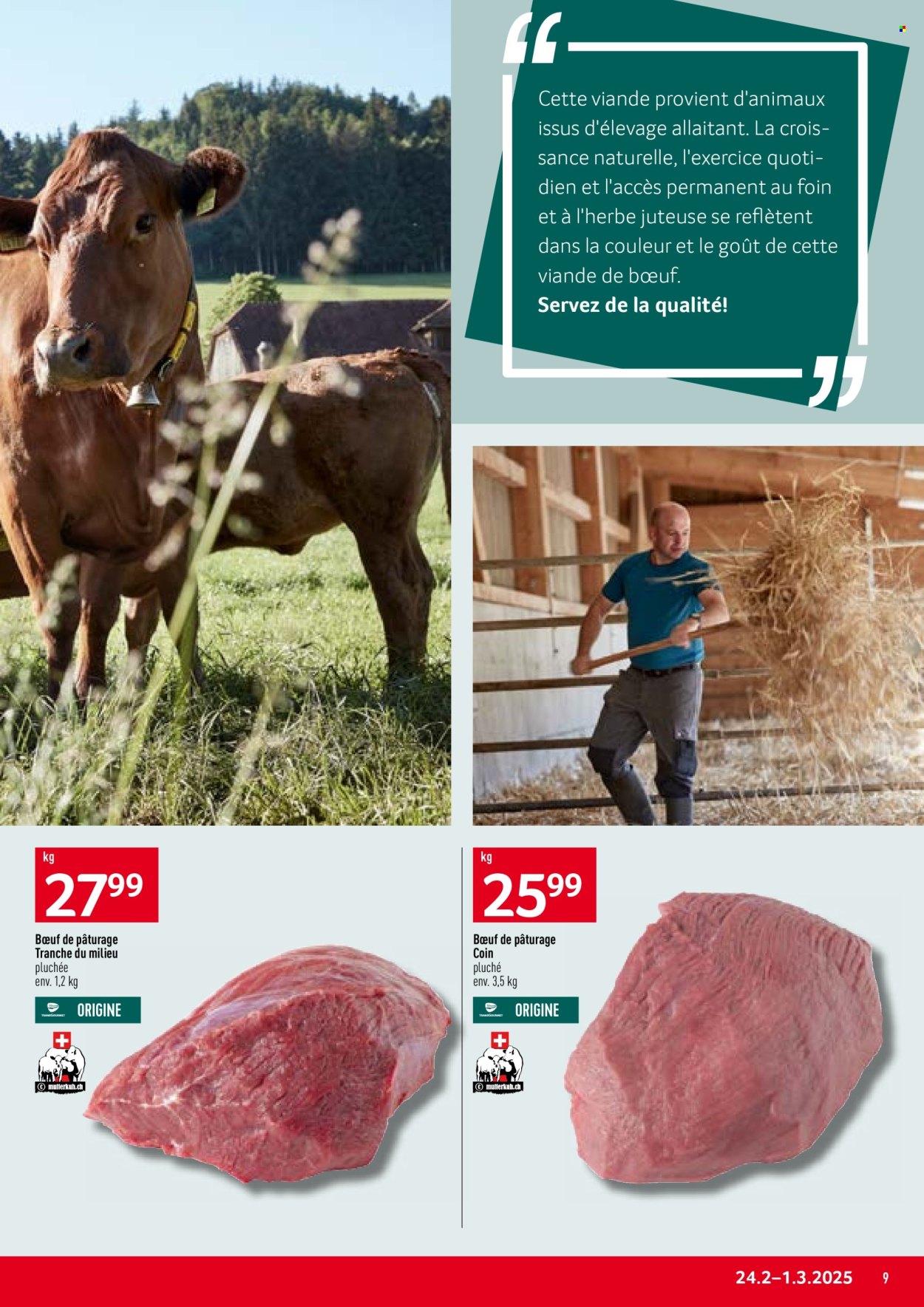 Volantino Prodega - 24.2.2025 - 1.3.2025. Pagina 9
