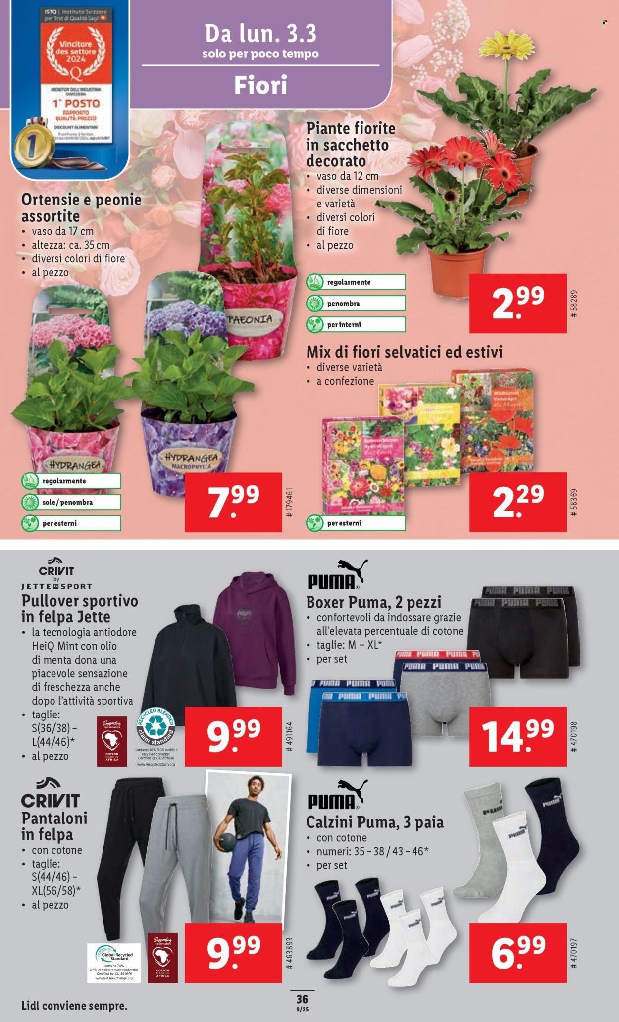 Volantino Lidl - 27.2.2025 - 5.3.2025. Pagina 36