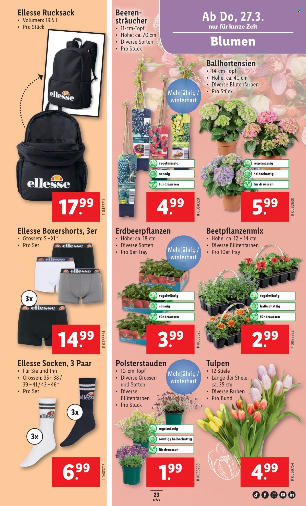 Prospekt Lidl - 27.3.2025 - 2.4.2025. Seite 23