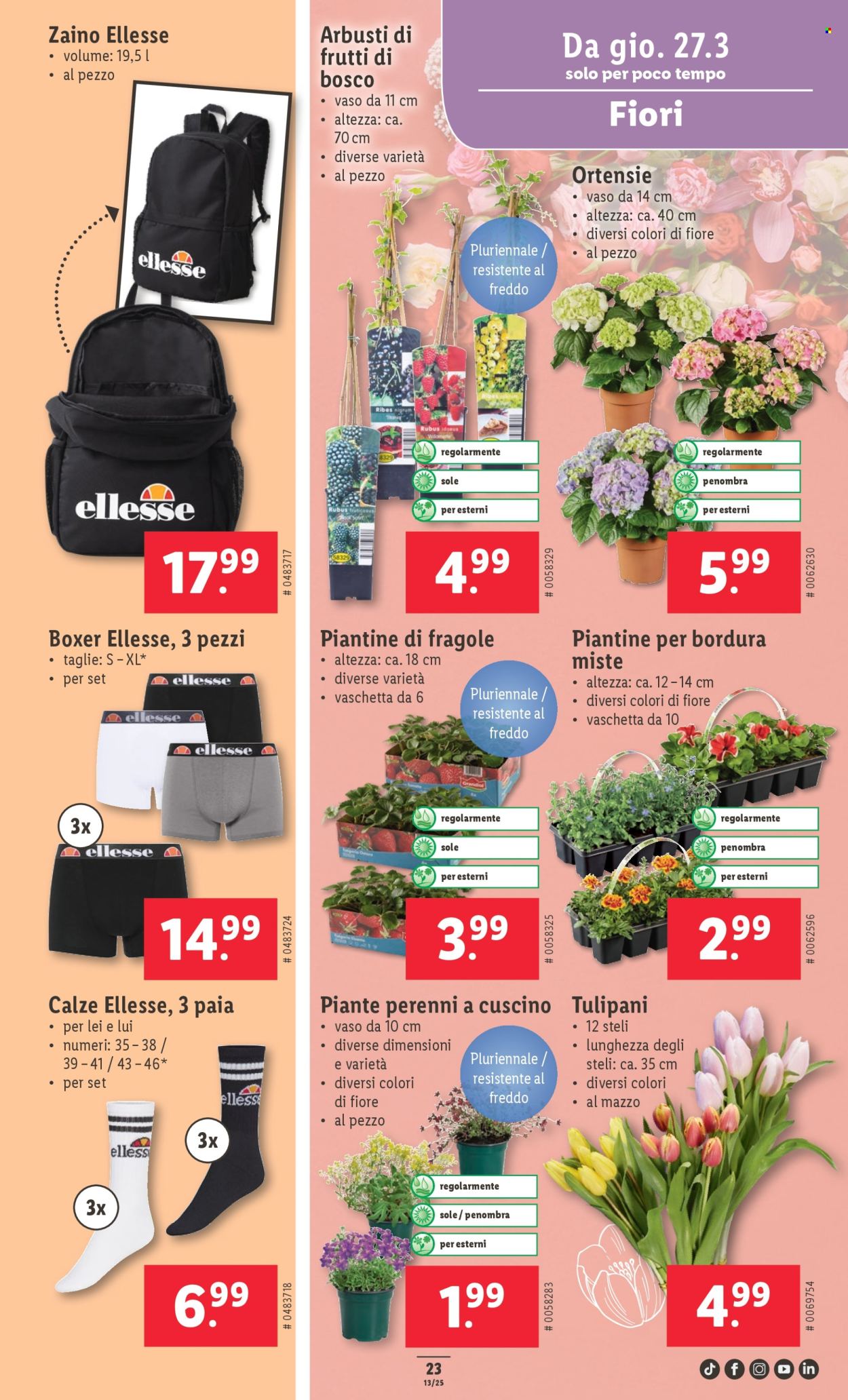 Volantino Lidl - 27.3.2025 - 2.4.2025. Pagina 23