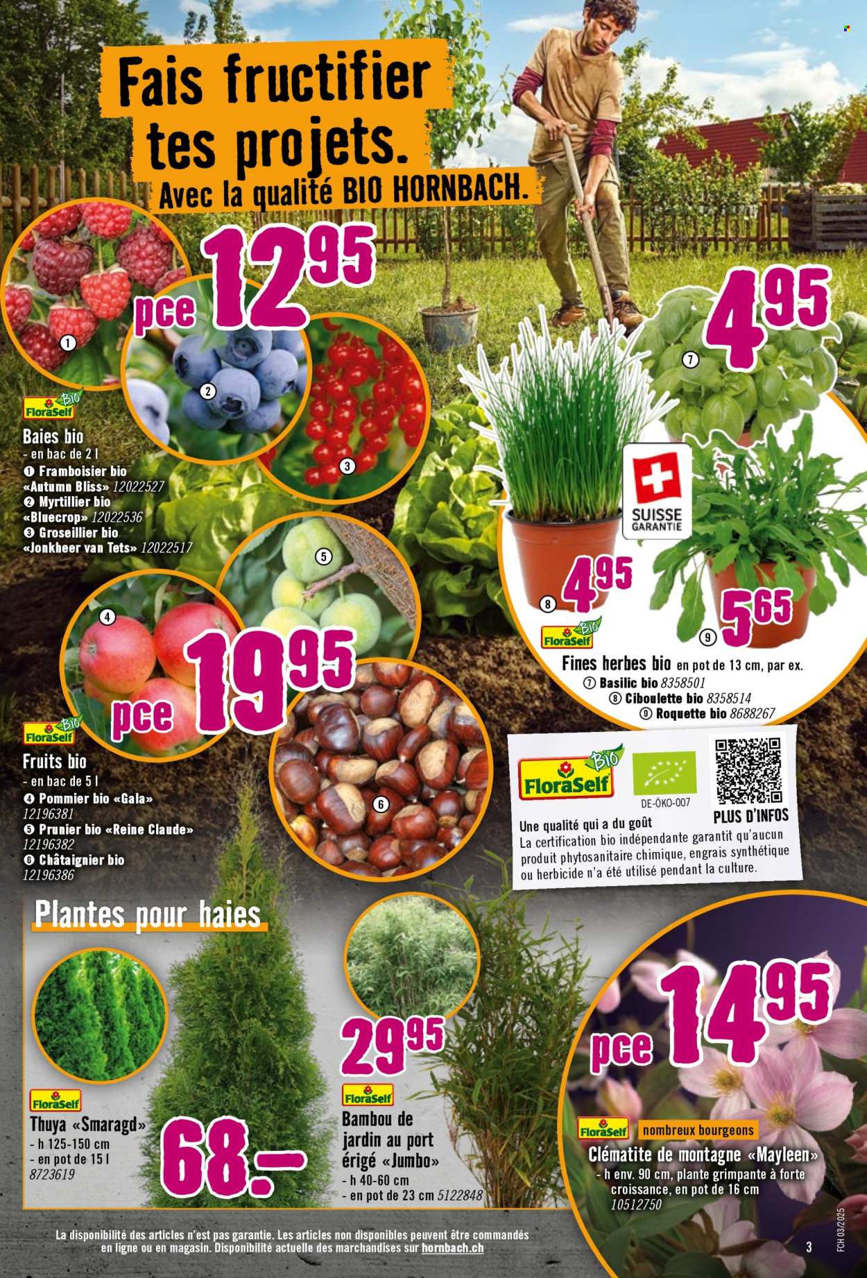 Prospekt Hornbach - 25.3.2025 - 21.4.2025. Seite 3