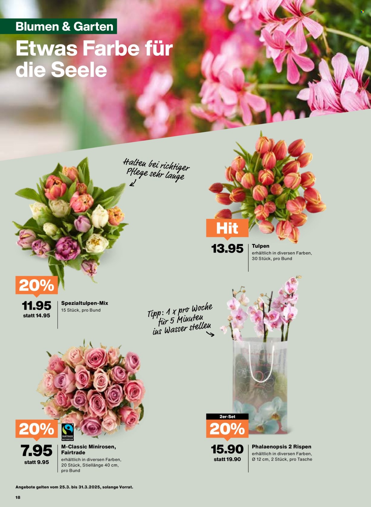 Catalogue Migros - 25.3.2025 - 31.3.2025. Page 18