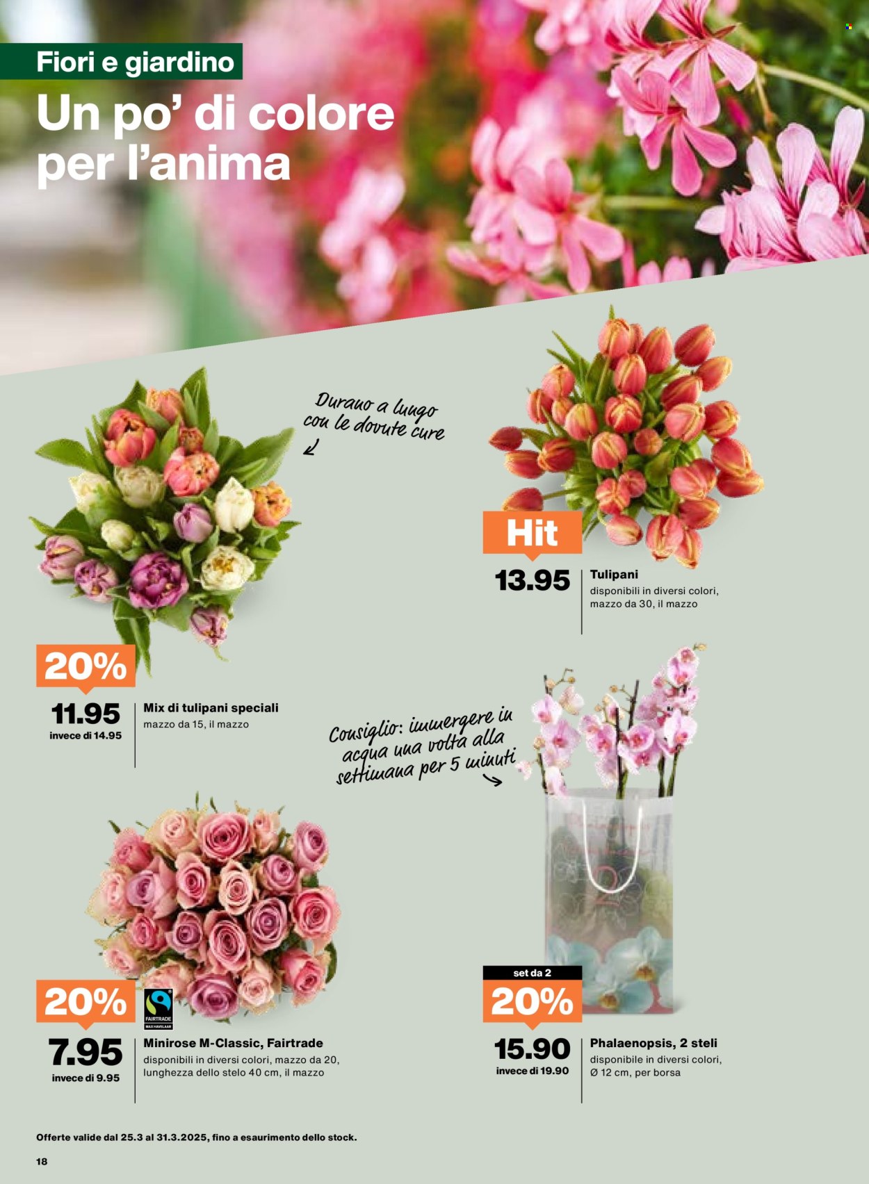 Catalogue Migros - 25.3.2025 - 31.3.2025. Page 18