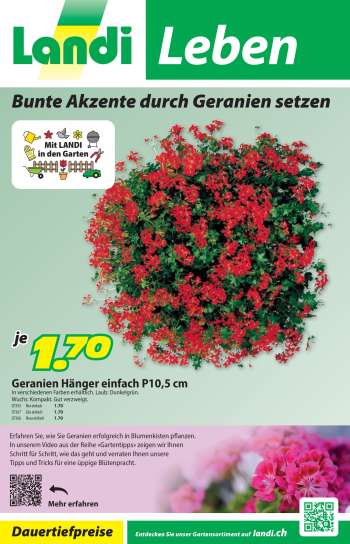 Volantino Landi - 14.4.2025 - 27.4.2025.