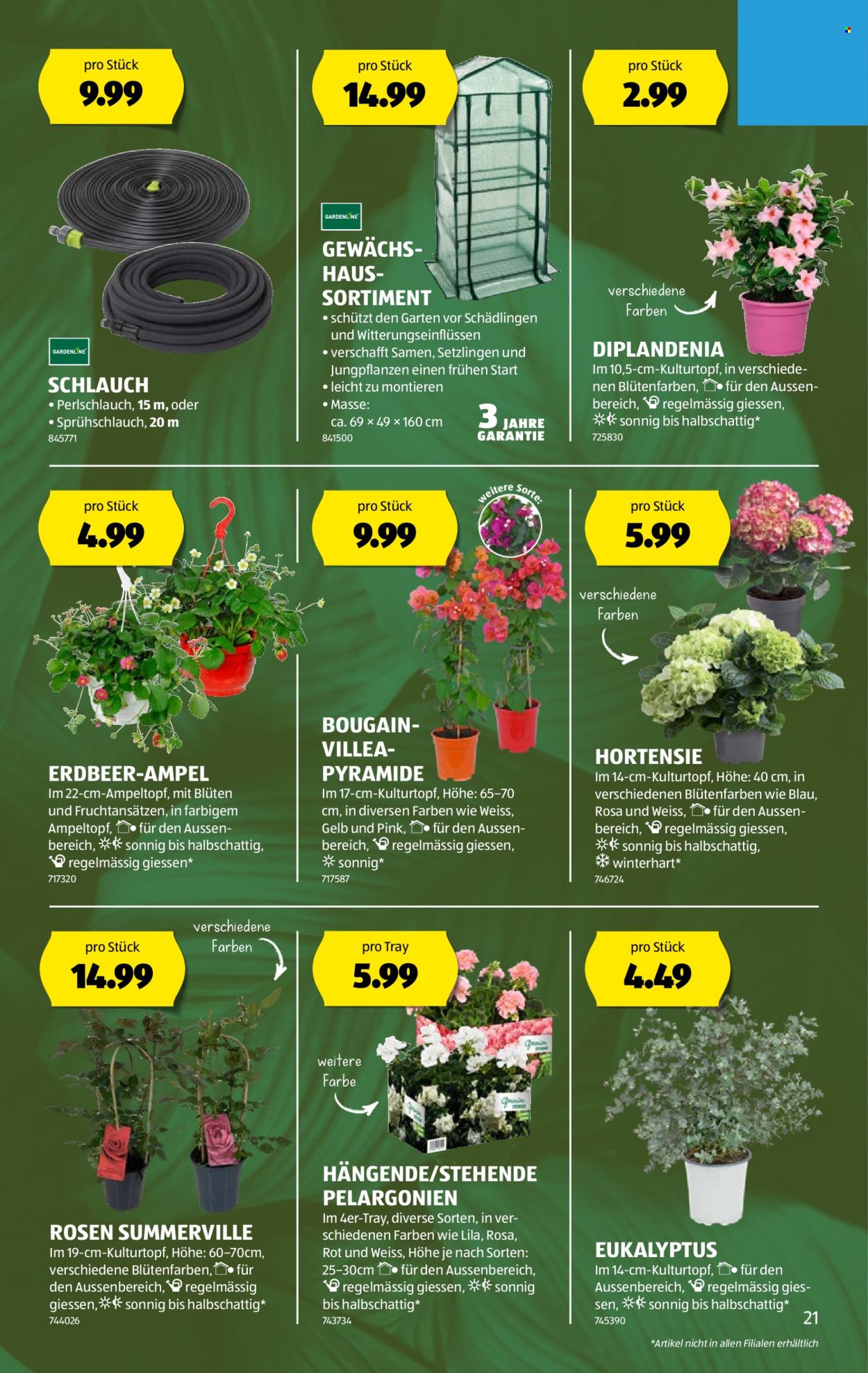 Volantino Aldi - 24.4.2025 - 30.4.2025. Pagina 21