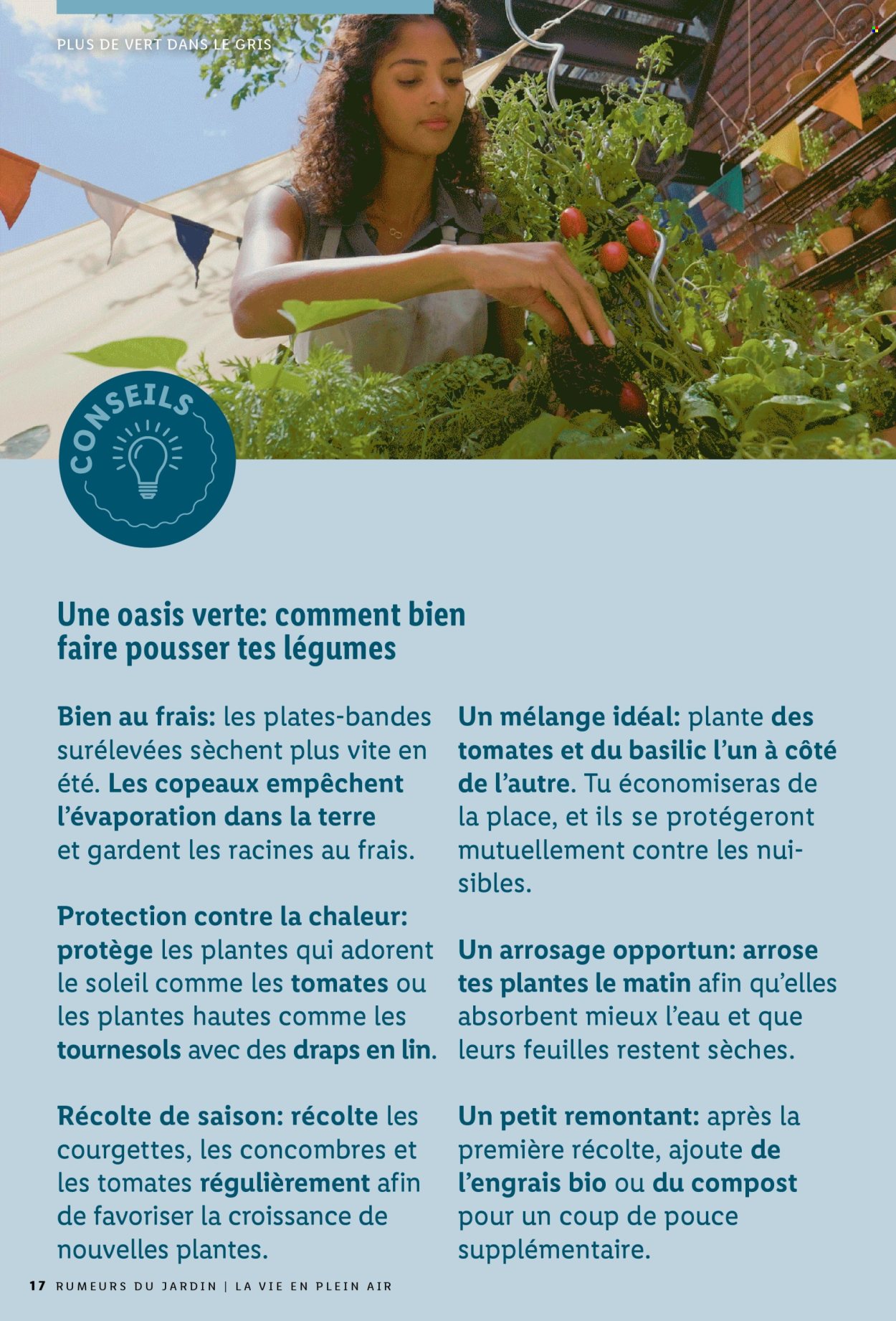 Volantino Lidl. Pagina 17
