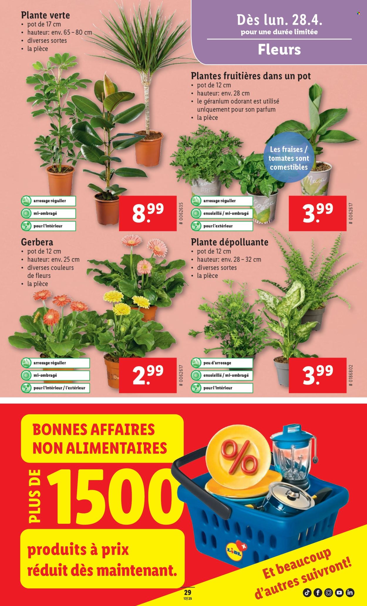 Volantino Lidl - 24.4.2025 - 30.4.2025. Pagina 29