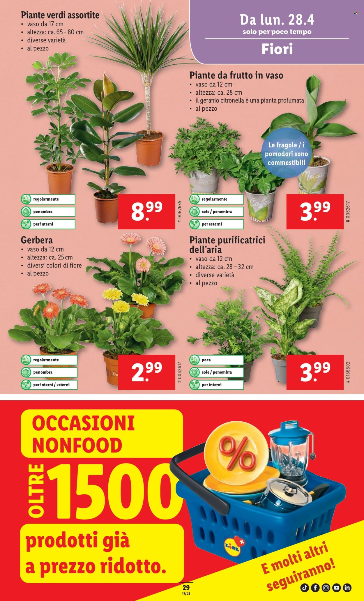 Volantino Lidl - 24.4.2025 - 30.4.2025. Pagina 29