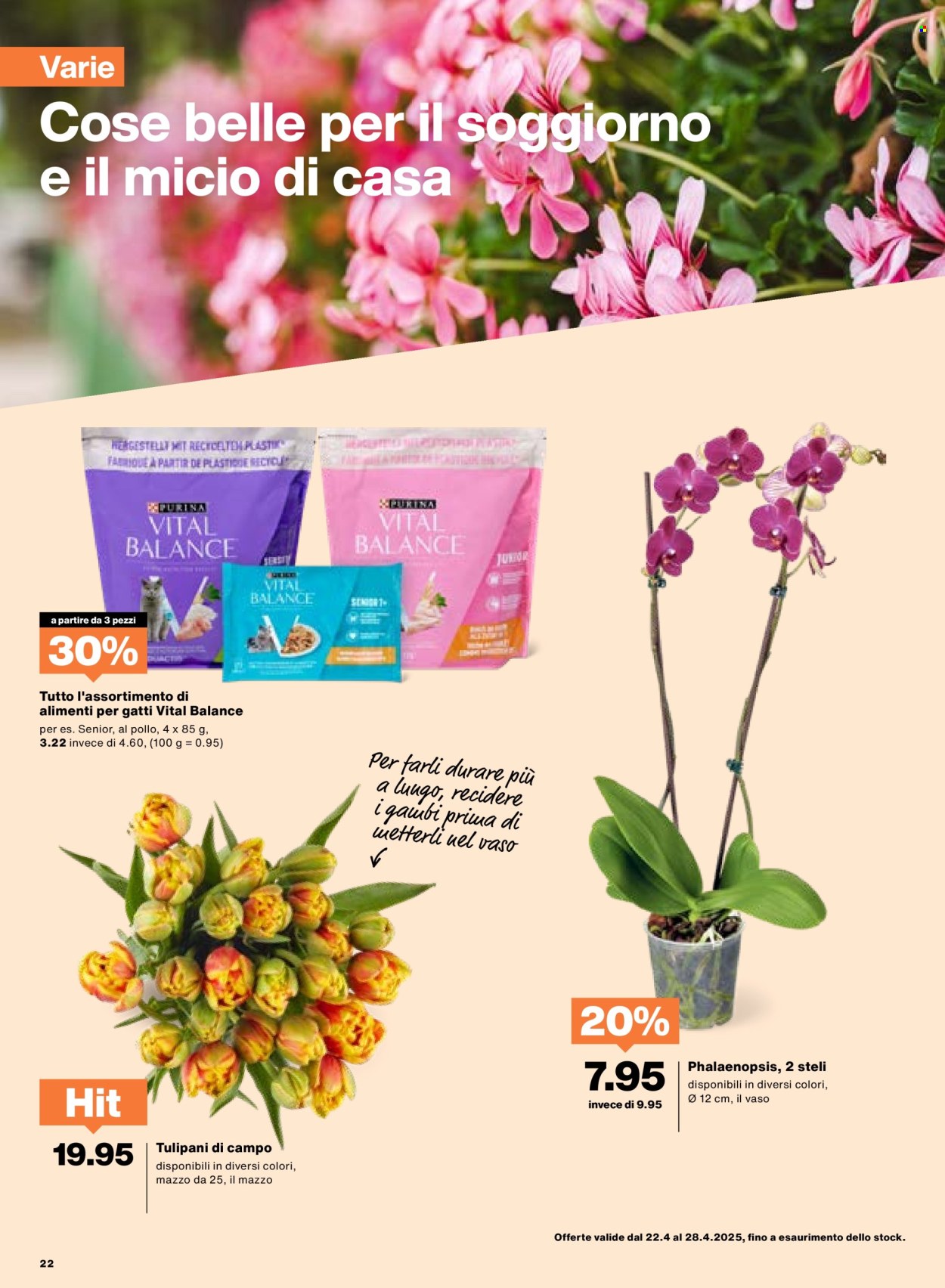 Prospekt Migros - 22.4.2025 - 28.4.2025. Seite 22