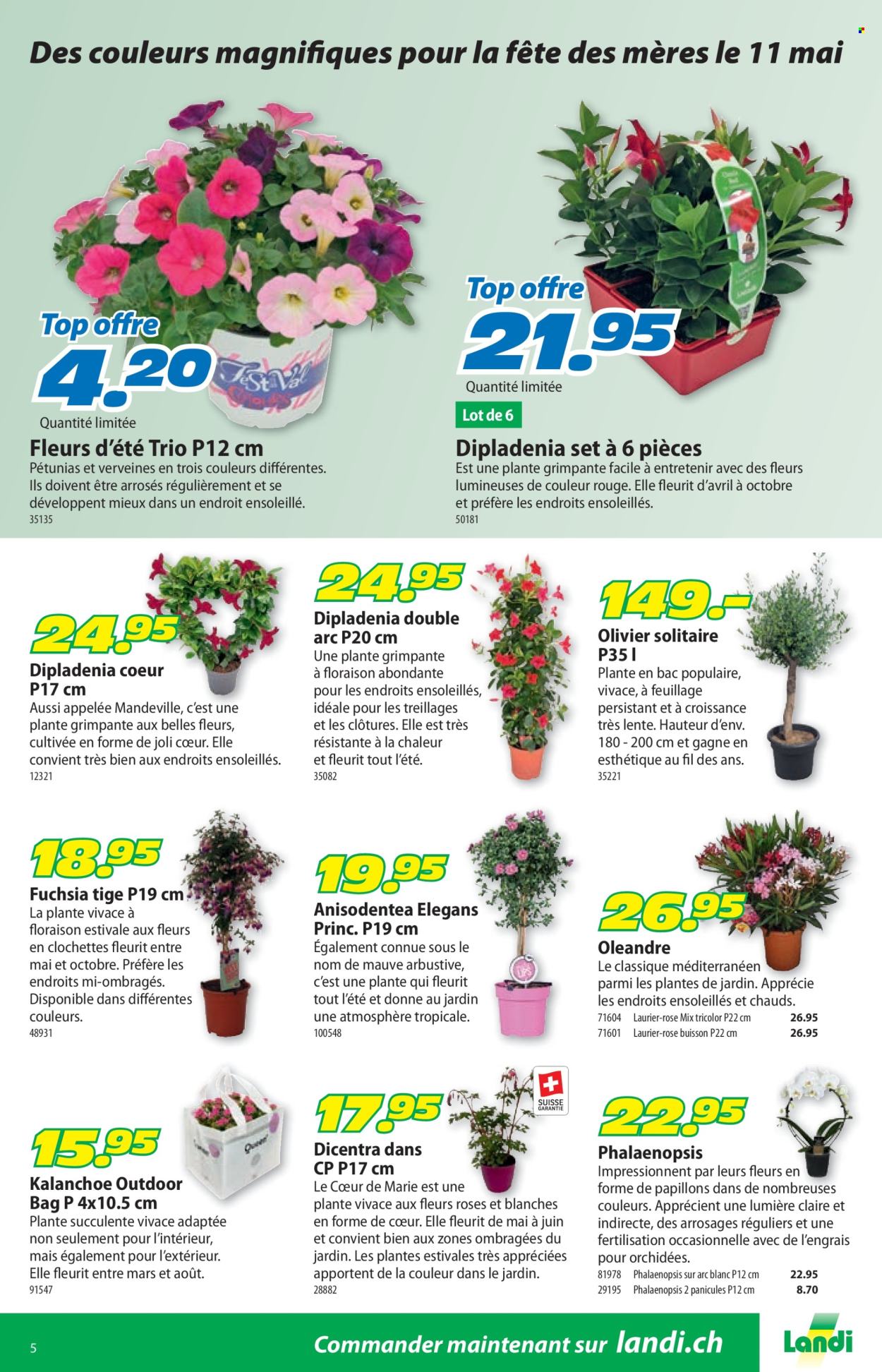 Prospekt Landi - 28.4.2025 - 11.5.2025. Seite 9