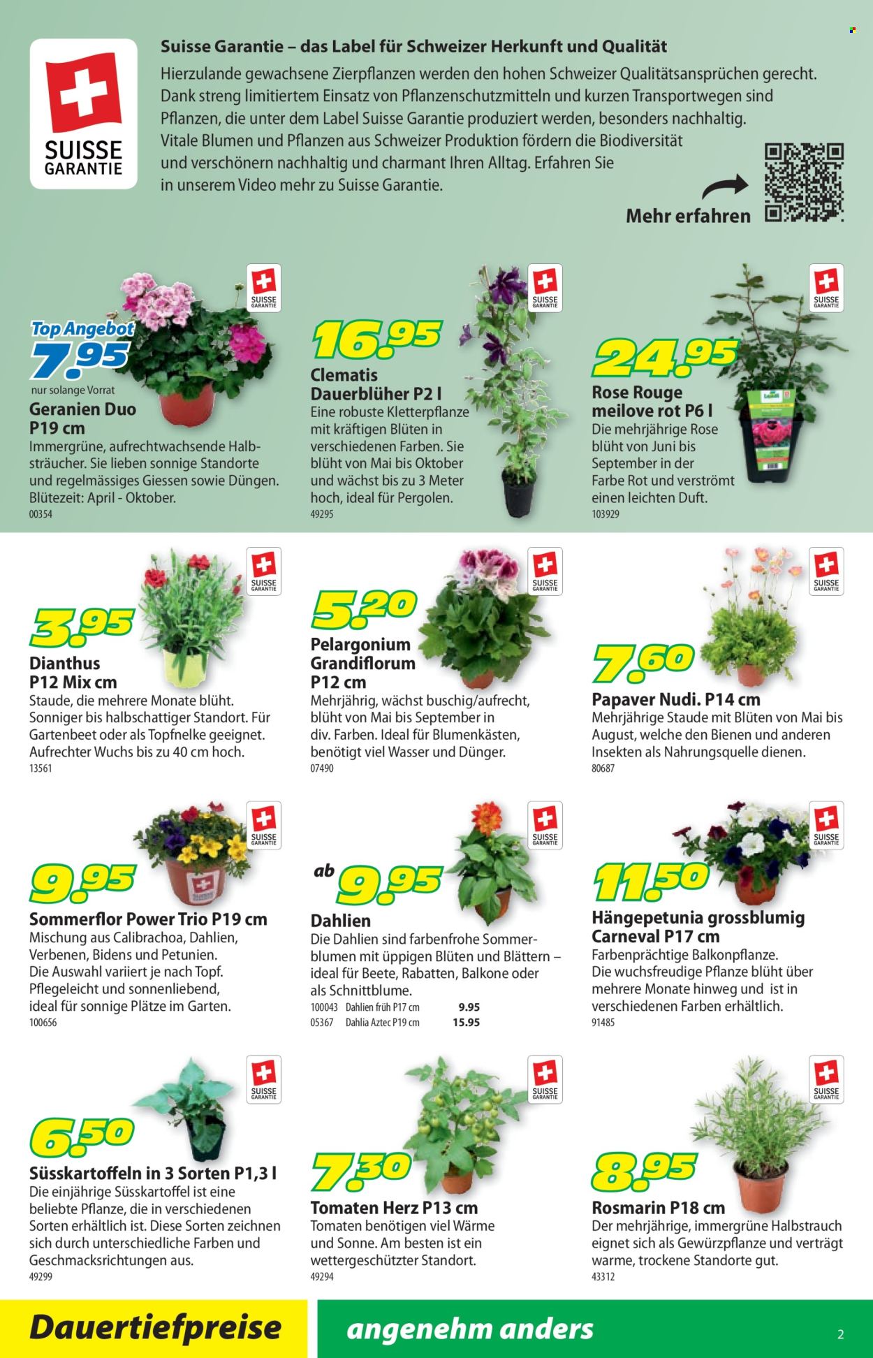 Volantino Landi - 12.5.2025 - 25.5.2025. Pagina 6