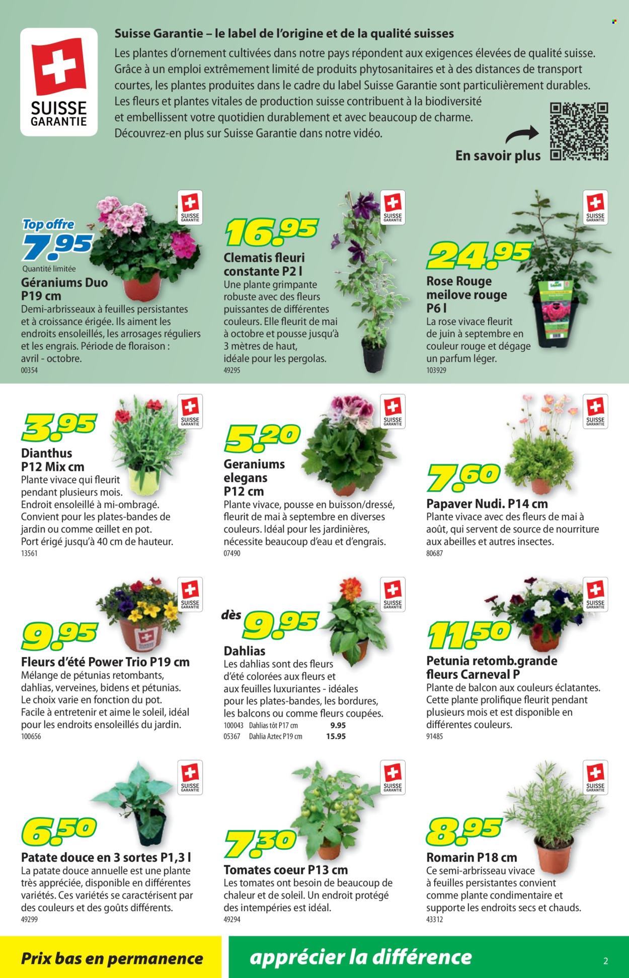 Volantino Landi - 12.5.2025 - 25.5.2025. Pagina 6