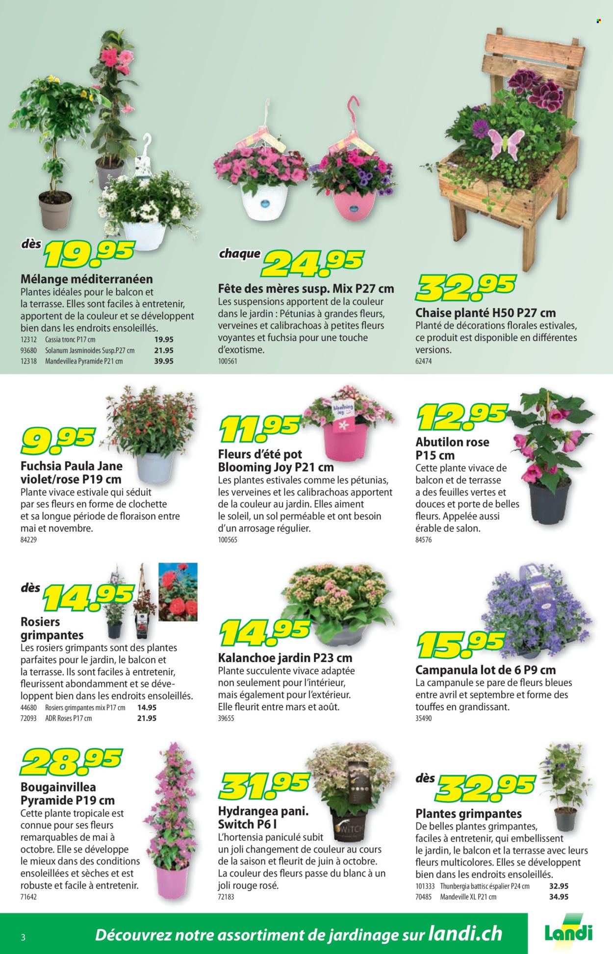 Volantino Landi - 12.5.2025 - 25.5.2025. Pagina 7