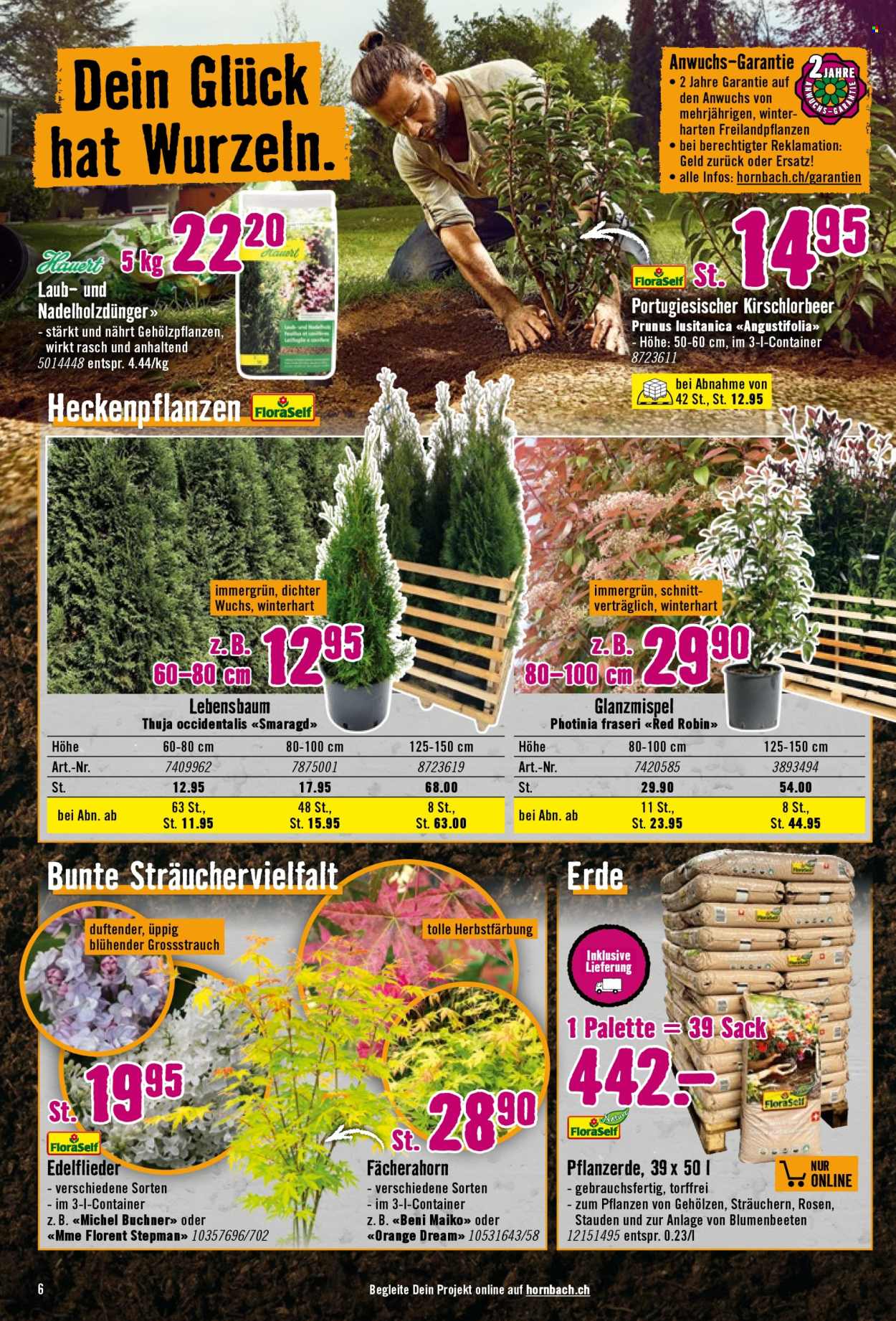 Prospekt Hornbach - 20.5.2025 - 20.5.2025. Seite 6