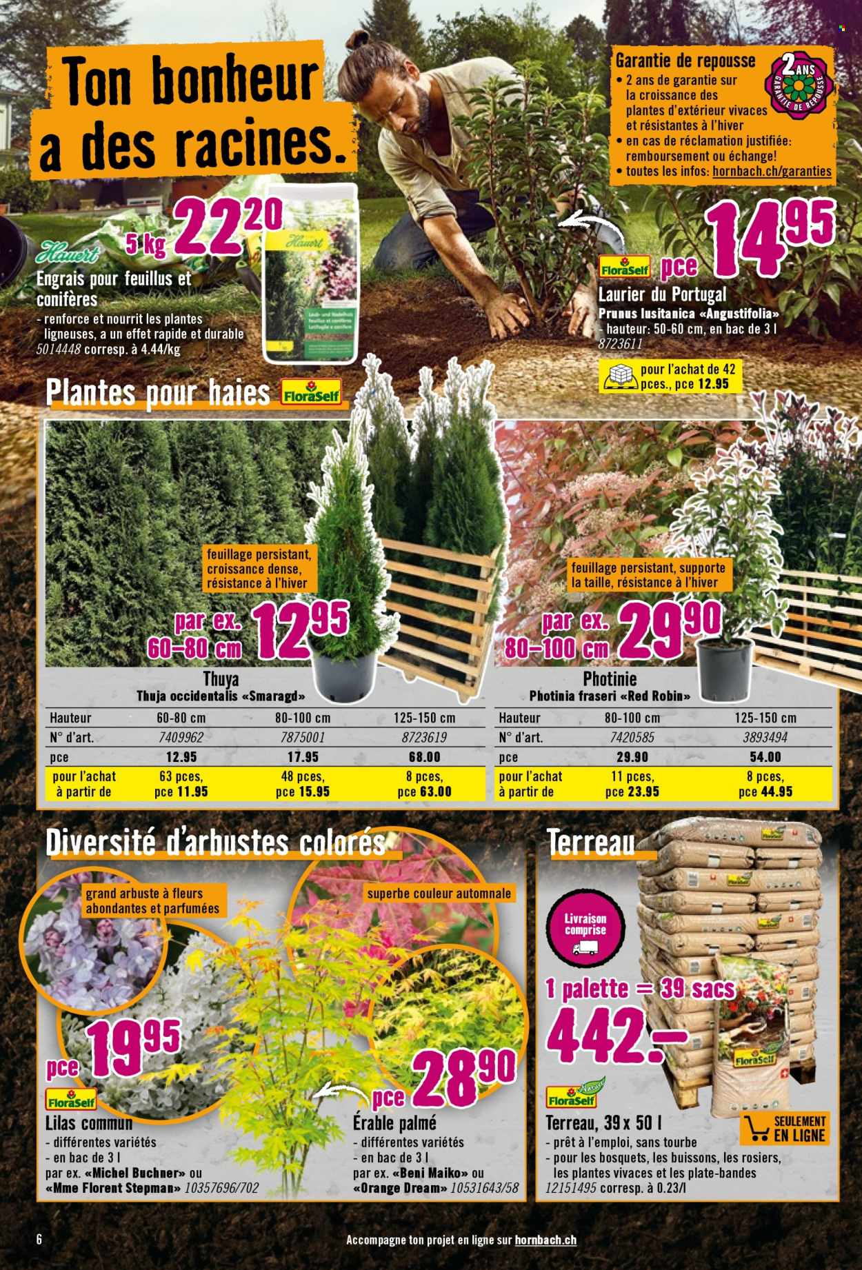 Prospekt Hornbach - 20.5.2025 - 20.5.2025. Seite 6