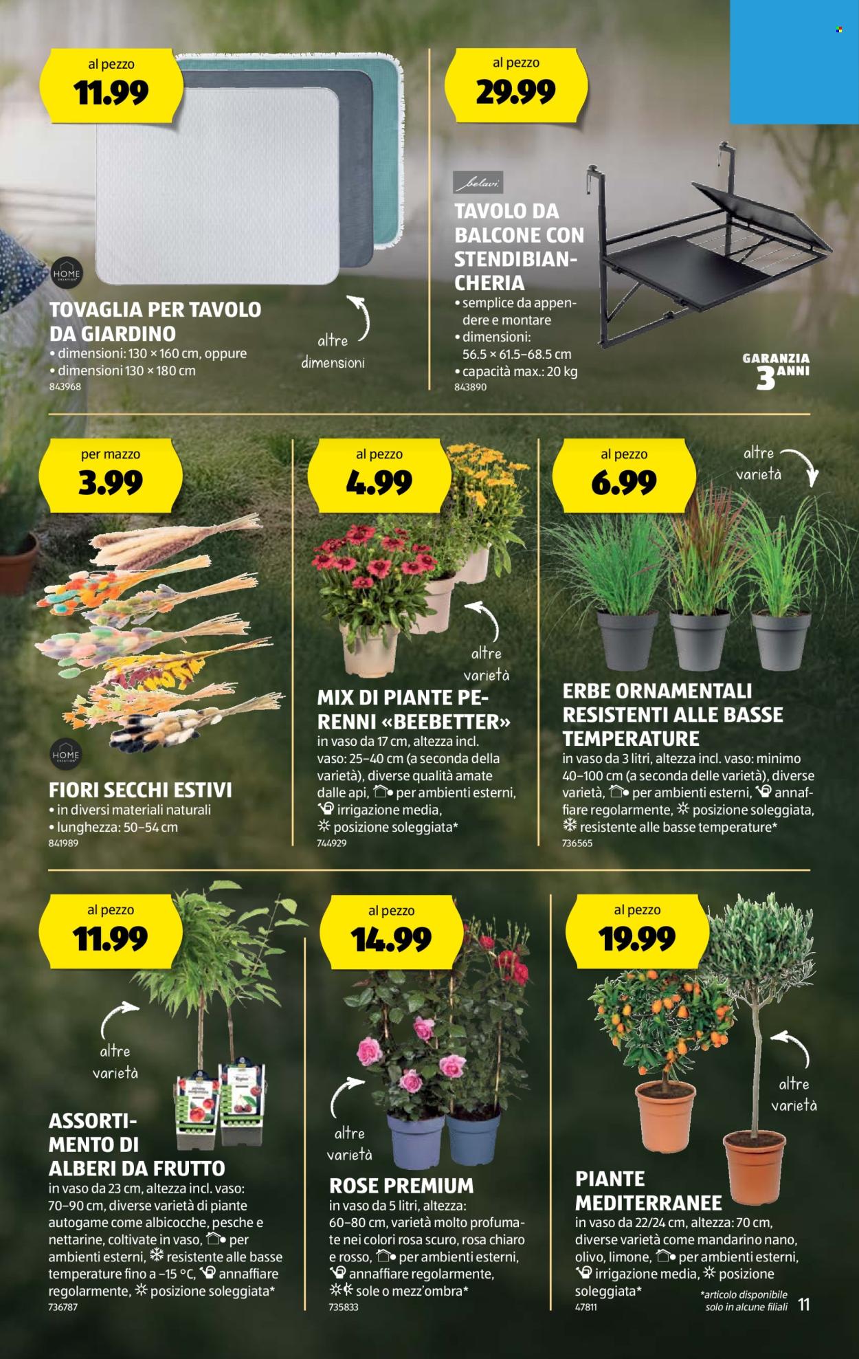 Prospekt Aldi - 28.5.2025 - 4.6.2025. Seite 11