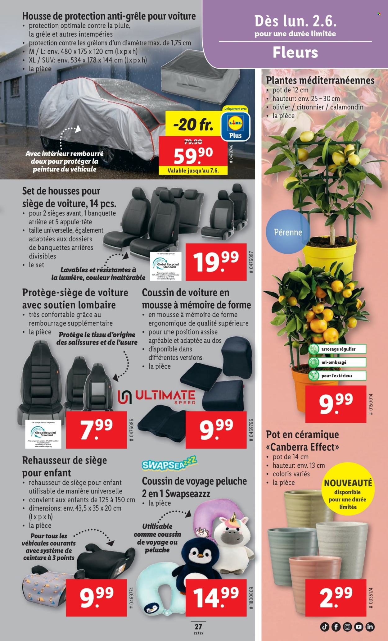 Volantino Lidl - 28.5.2025 - 4.6.2025. Pagina 31