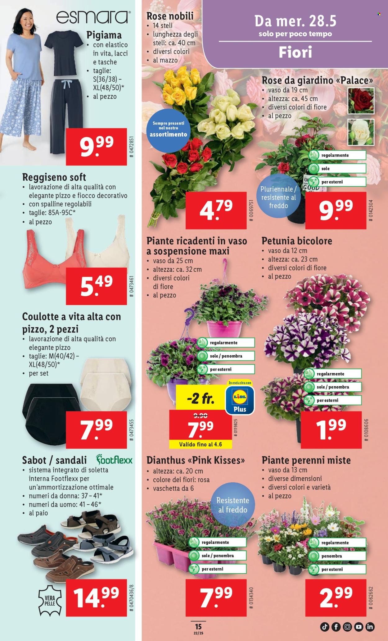 Volantino Lidl - 28.5.2025 - 4.6.2025. Pagina 15